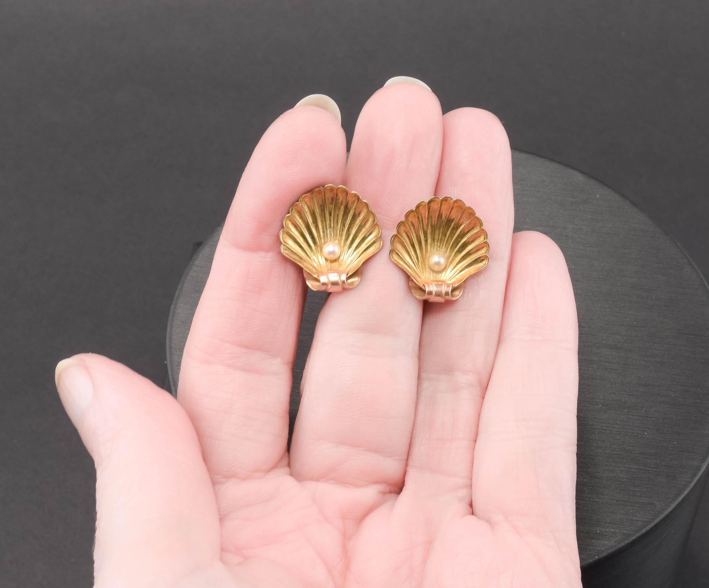 Antike 14K Gold Muschel-Ohrringe mit Perlen von Sloan & Co. Französisch Schraube zurück Stil im Angebot 1