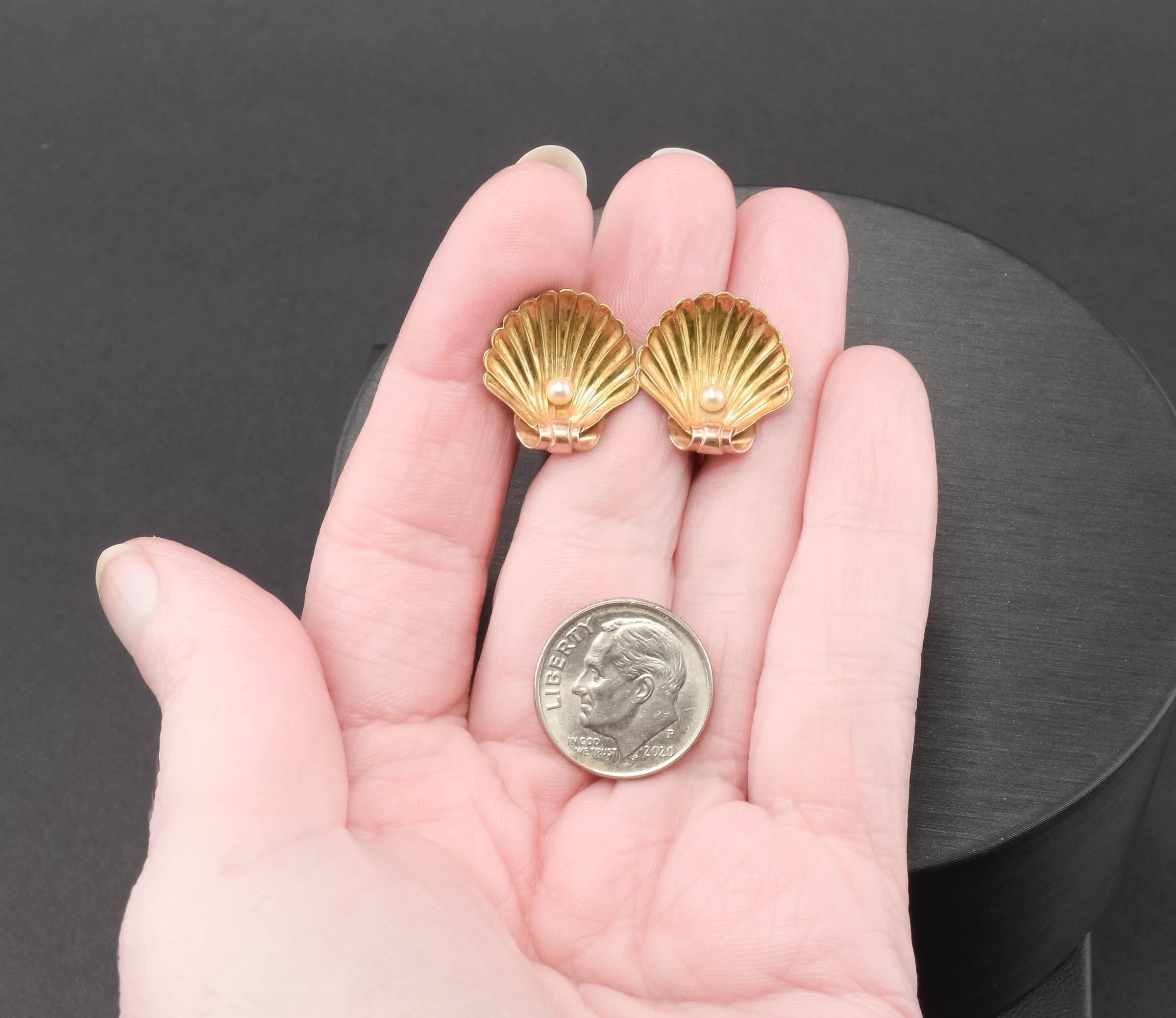 Antike 14K Gold Muschel-Ohrringe mit Perlen von Sloan & Co. Französisch Schraube zurück Stil im Angebot 2