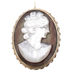 18th Century and Earlier Brooches