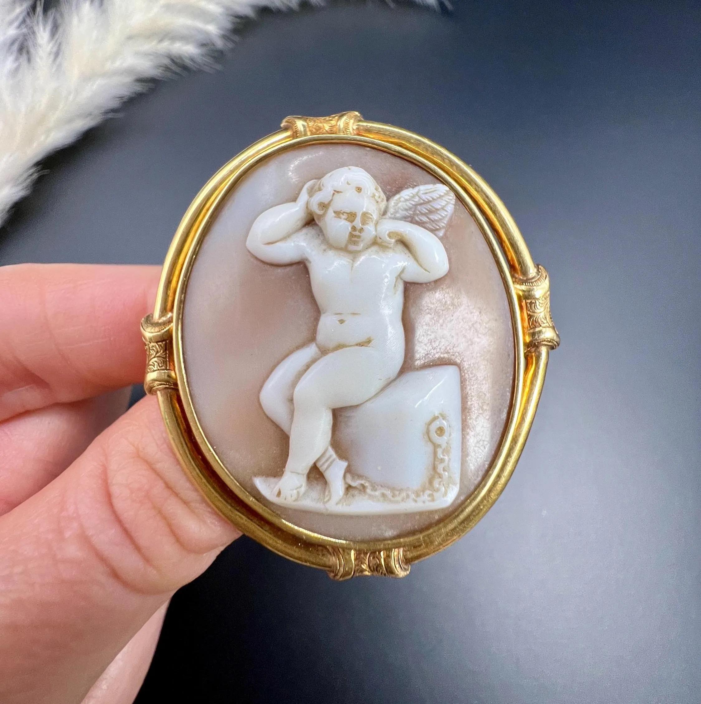 Antique 15ct Gold, Early Victorian Cherub Shell Cameo Portrait Brooch For Sale 2