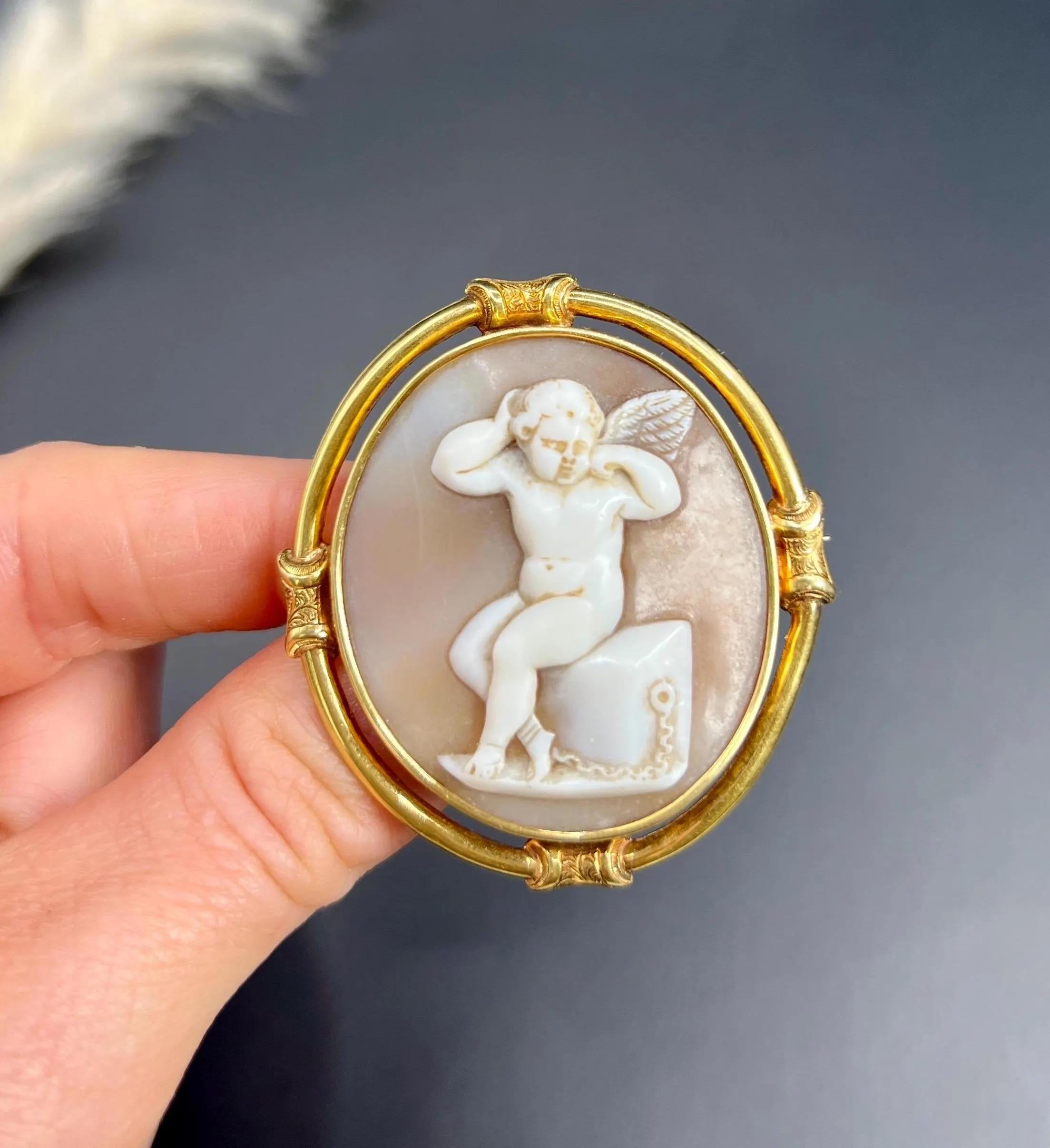 Antique 15ct Gold, Early Victorian Cherub Shell Cameo Portrait Brooch For Sale 3