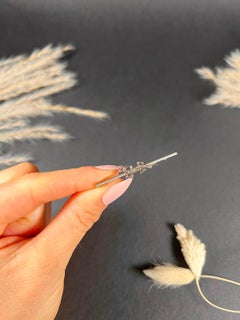 Antique 15ct Gold & Platinum, Victorian Diamond Lizard Brooch