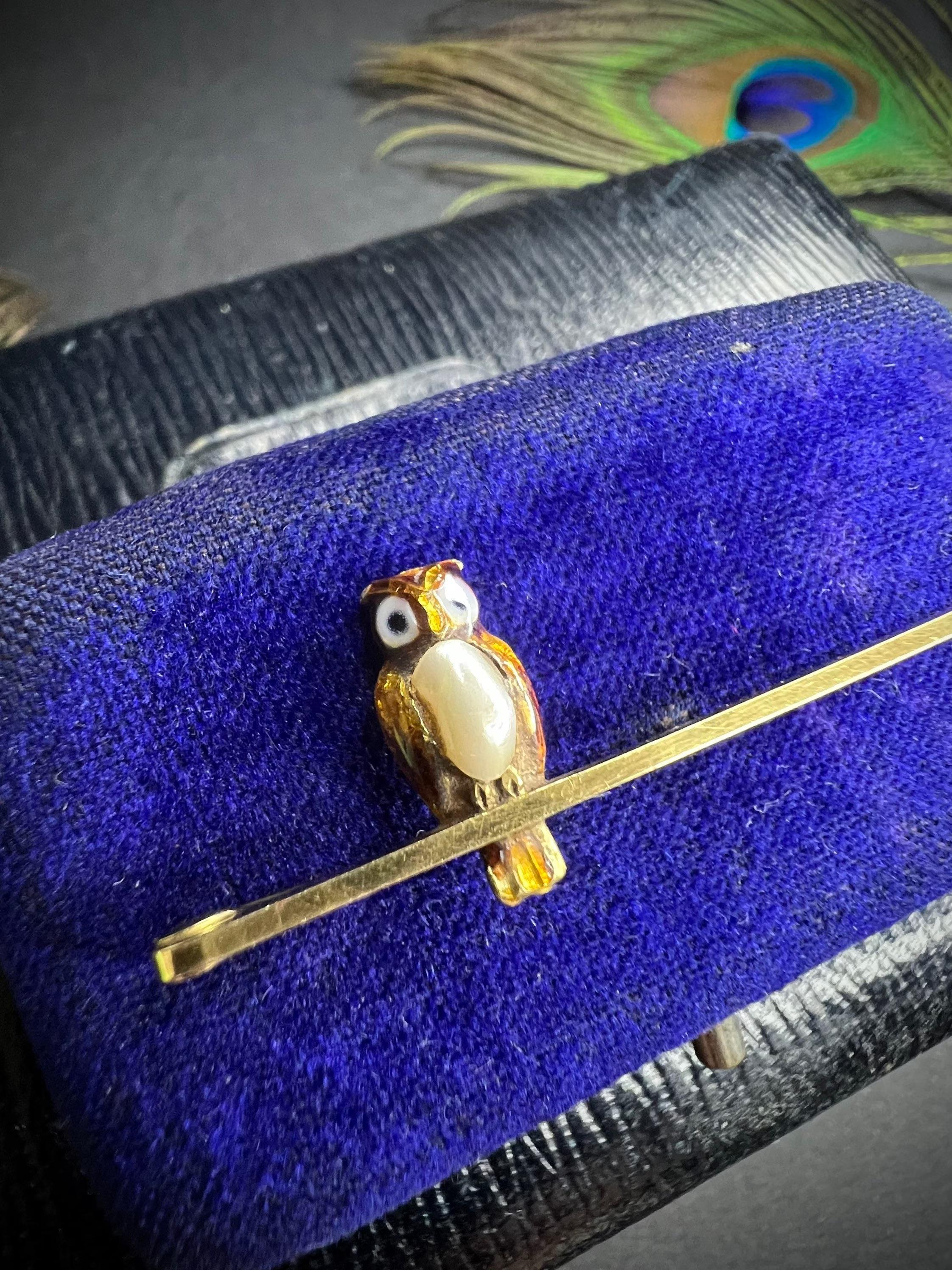 Antique Owl Brooch

15ct Gold Stamped 

Circa 1880

Lovely Victorian Bar Brooch with a Cute Little Enamel Owl Perched To One Side. He Has Lovely Blue Eyes & Natural Pearl Belly. 

Measures Approx Length 51mm x 1mm

Owl Measures 14.5mm Tall & 6.5mm