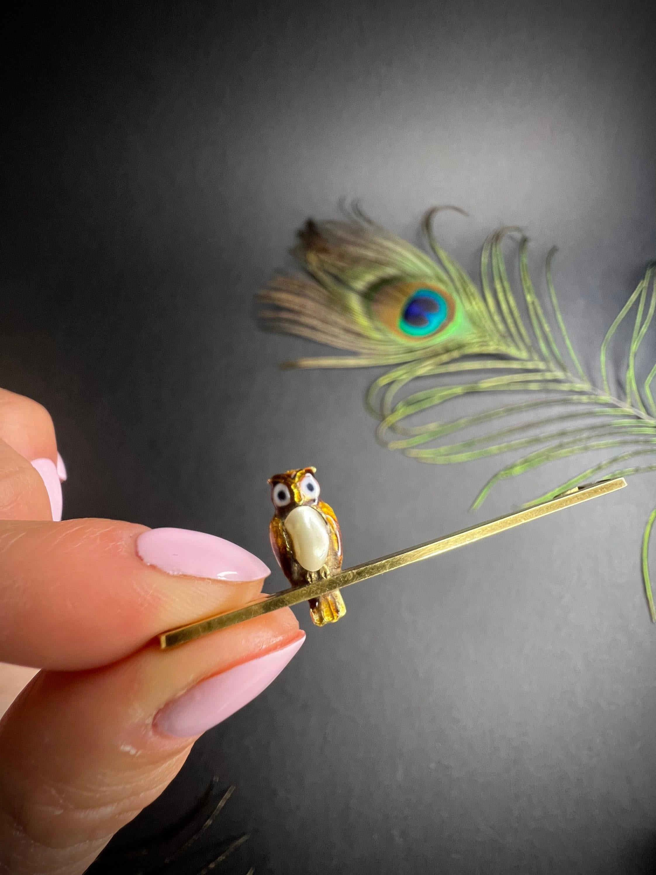 Oval Cut Antique 15ct Gold Victorian Enamel Owl Brooch Blue Eyes & Natural Pearl Belly For Sale