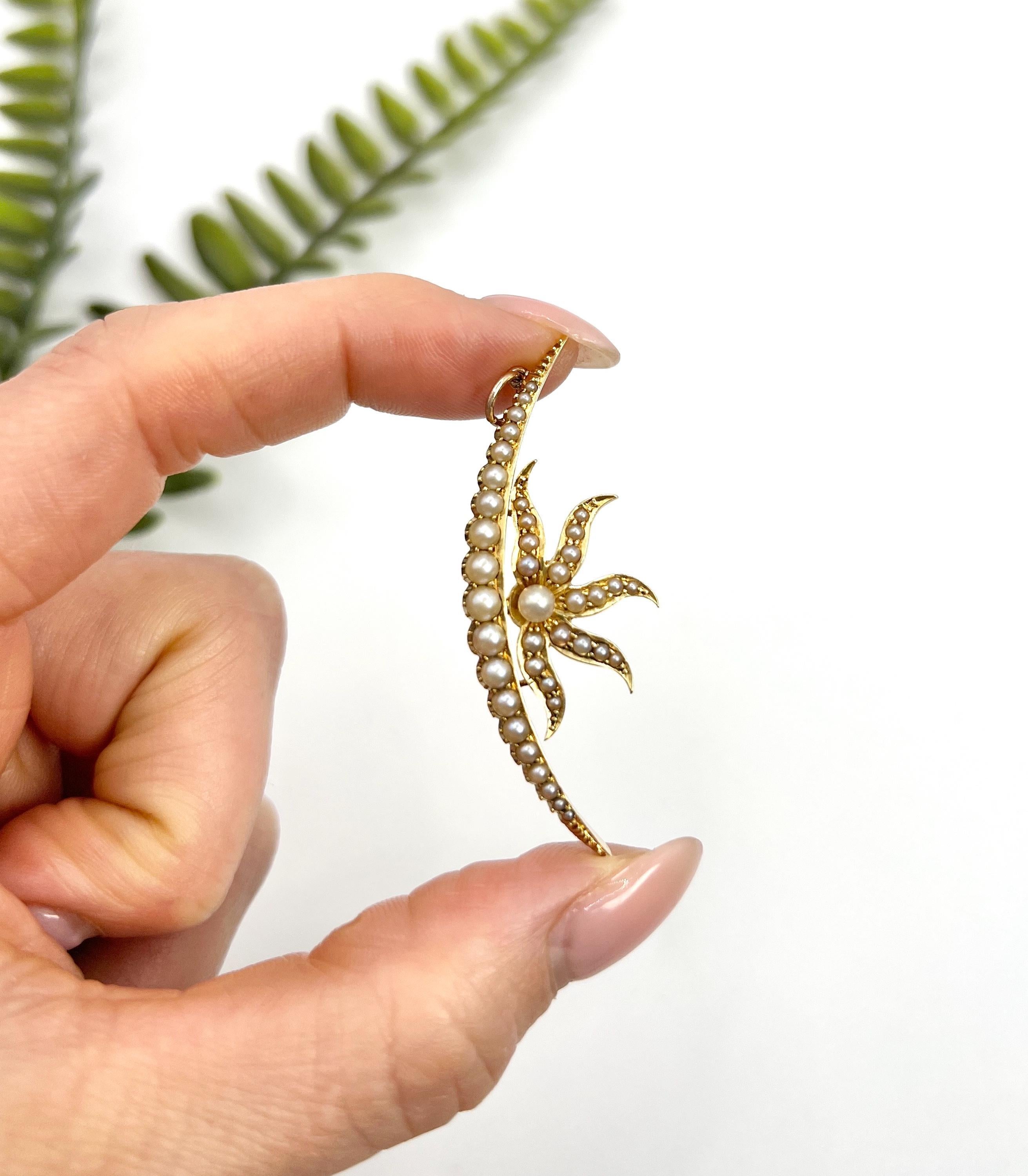 Antique 15ct Yellow Gold, Edwardian Seed Pearl Sunburst Crescent Moon Pendant For Sale 4