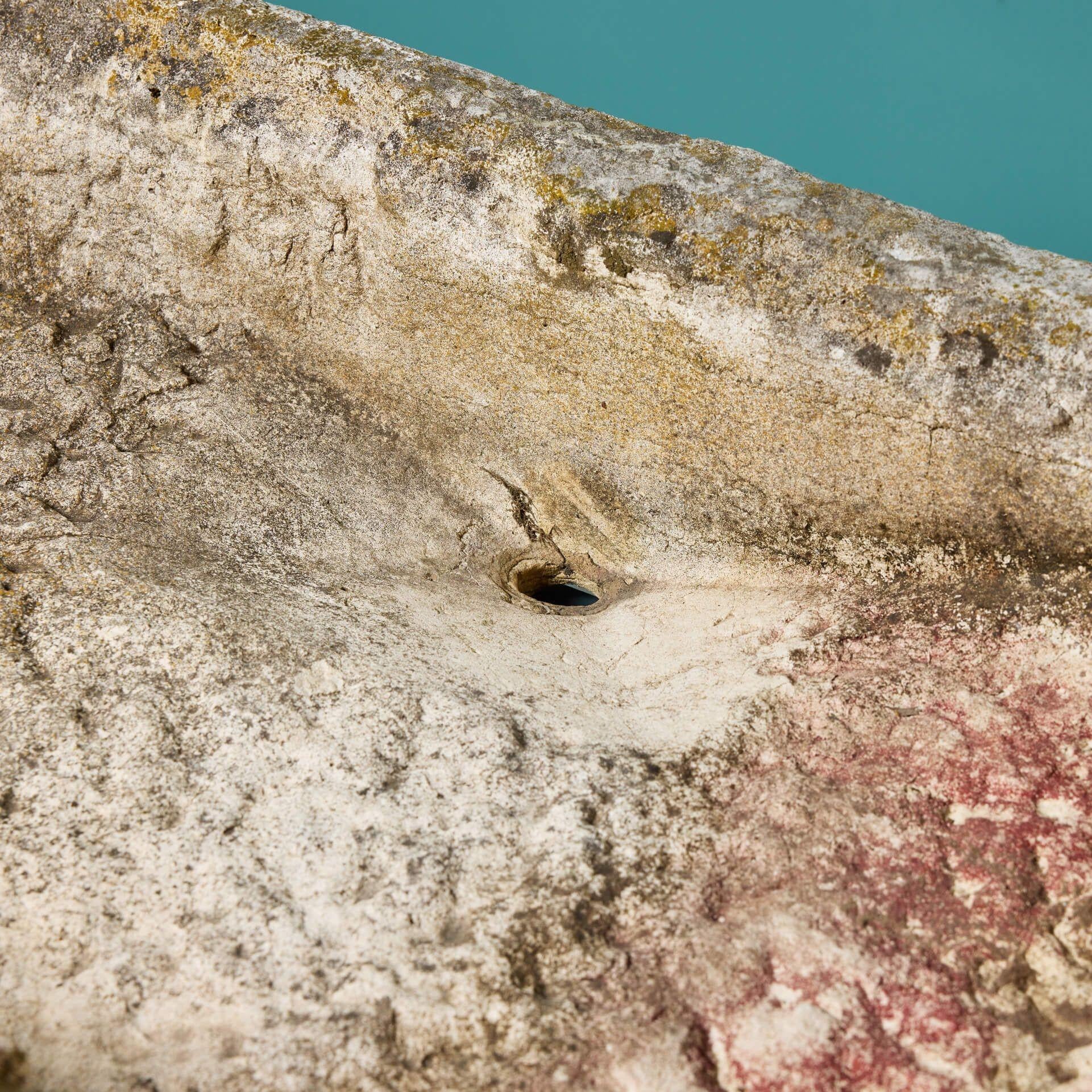 Neoclassico Antico abbeveratoio in pietra istriana intagliata del 16° C. in vendita
