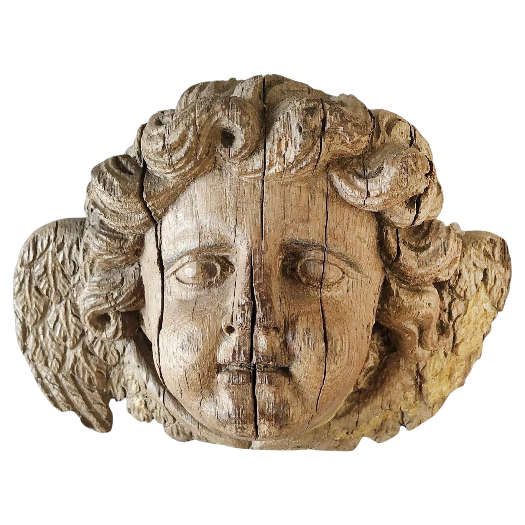 Antique 17th Century French Baroque Carved Oak Winged Cherub Bust