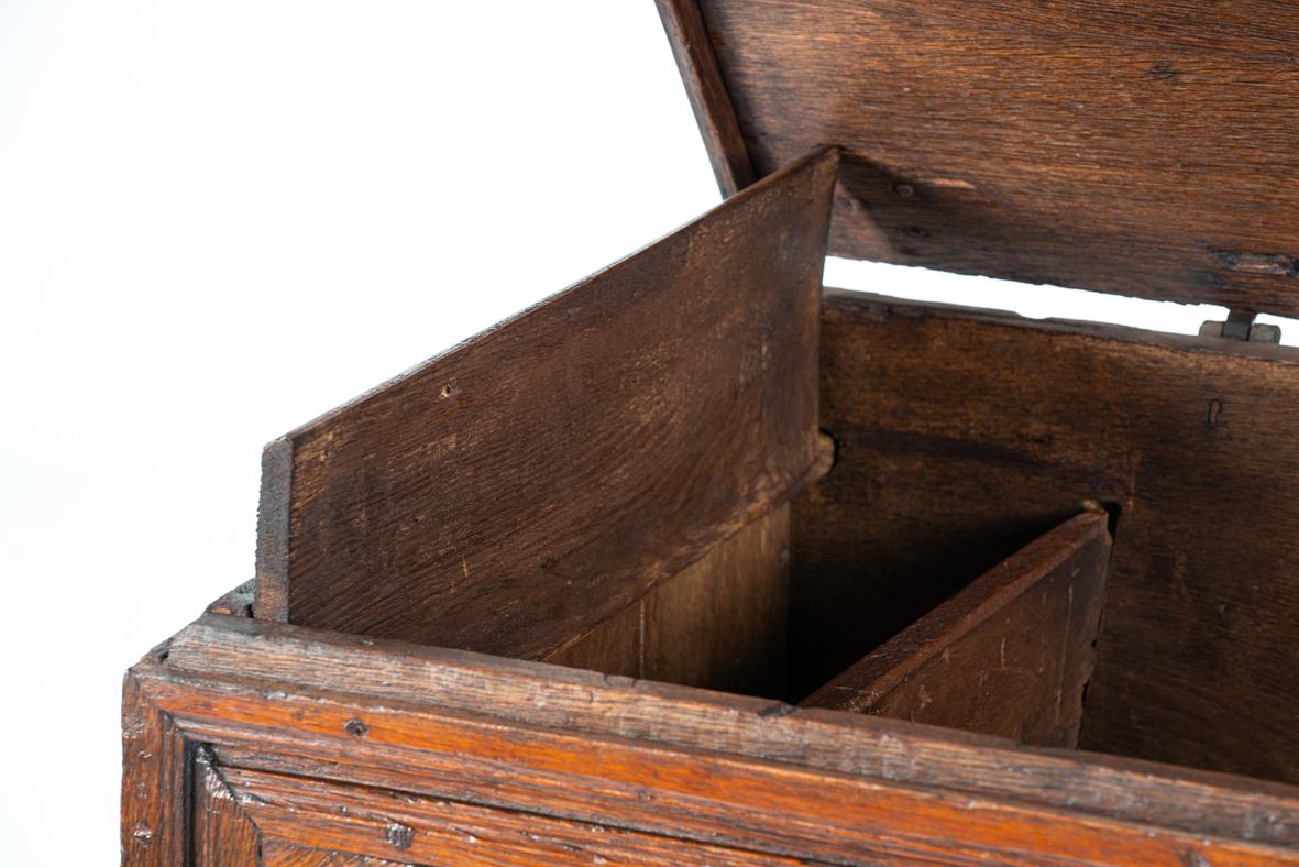 Coffre ou malle ancienne allemande du 17ème siècle en Chêne Chaud et Clair avec panneaux géométriques en vente 5
