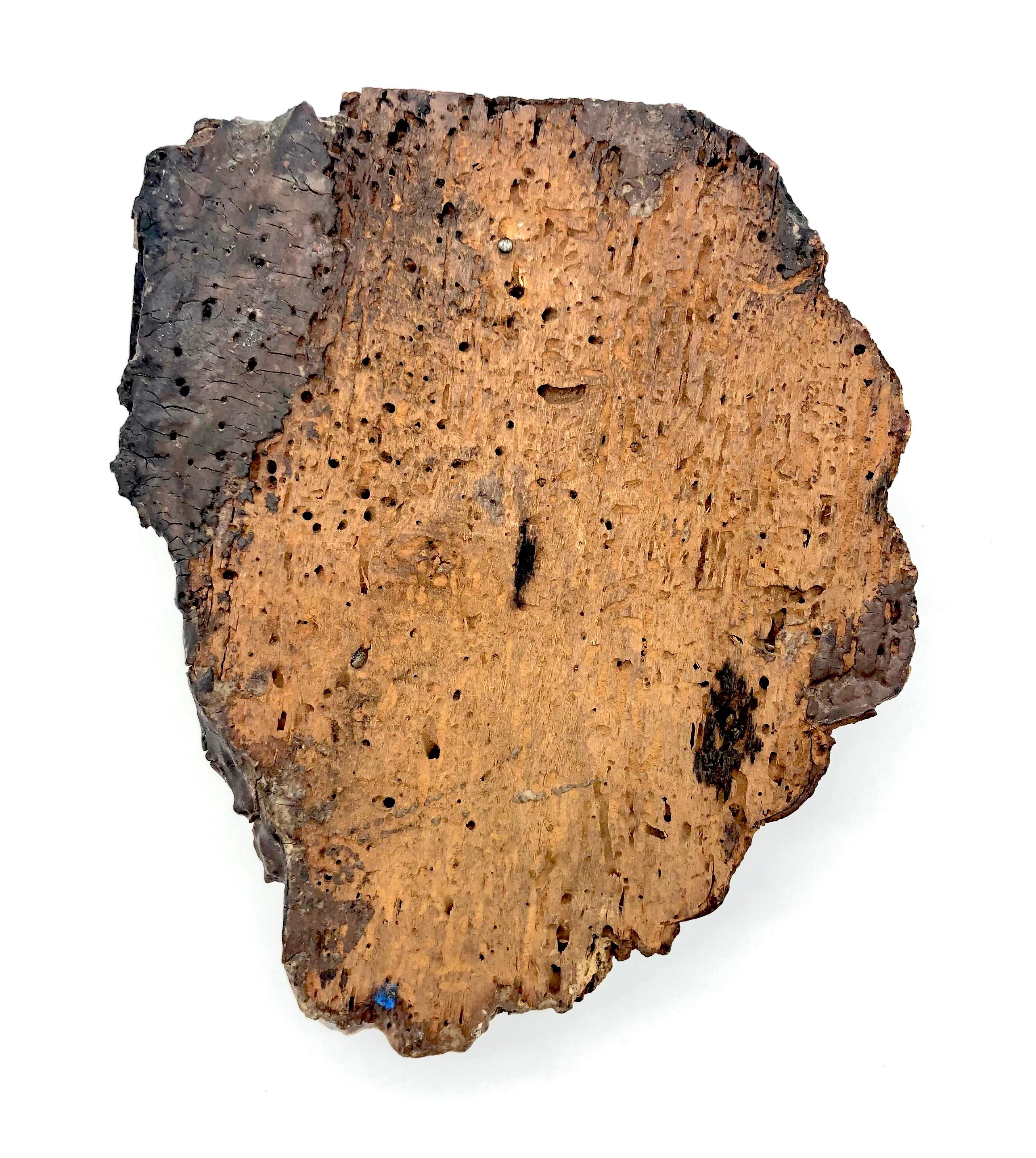 Francese Antico frammento di scultura in Wood del 17° secolo, Angelo, vernice originale in vendita