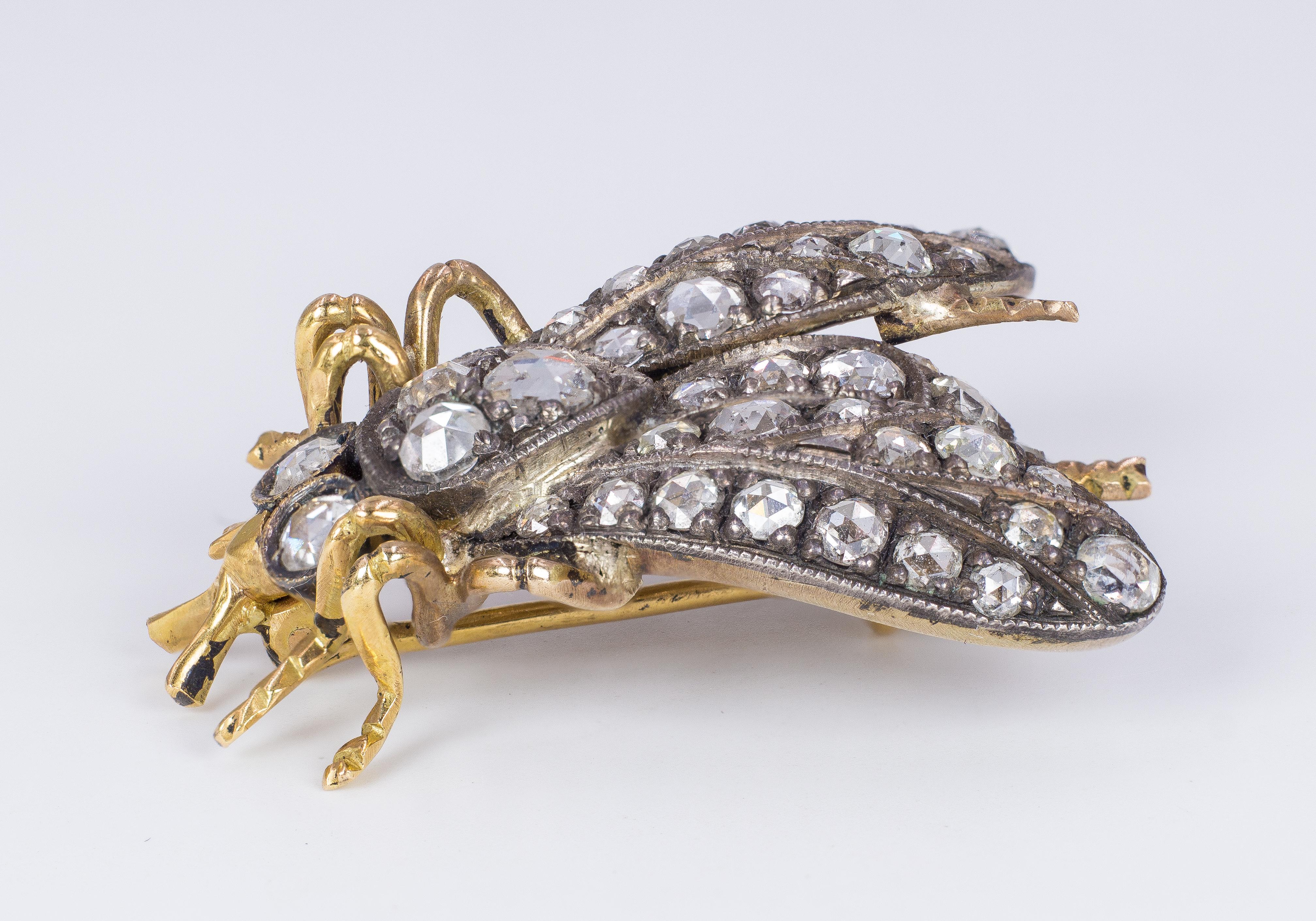 Antique 18 Karat Gold, Silver and Diamond Fly Brooch, 1930s at 1stDibs