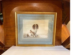 Antique 1820's English Watercolor Painting of a Spaniel