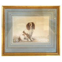 Antique 1820's English Watercolor Painting of a Spaniel