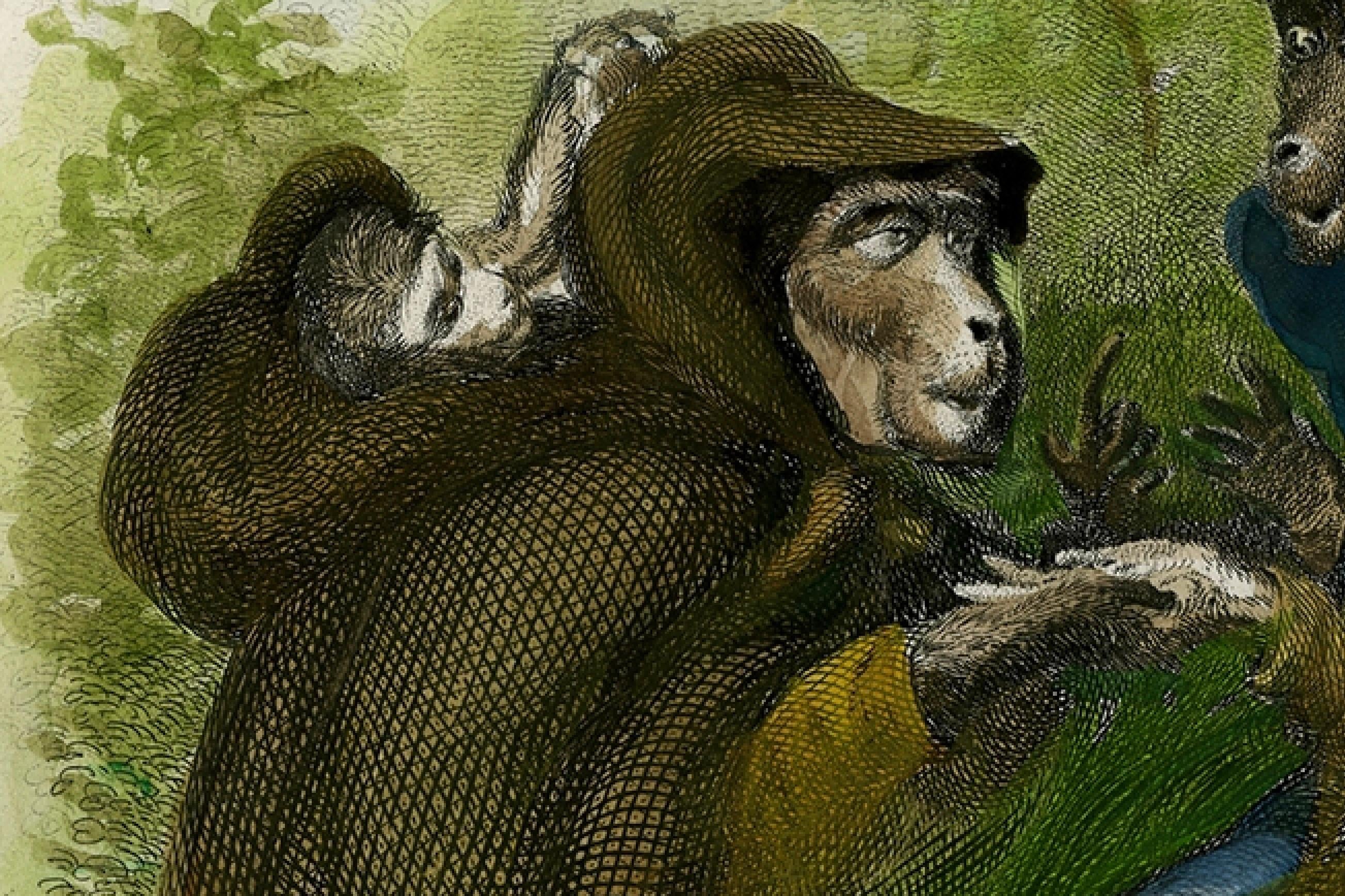 Antique 1828 Hand-Colored Satirical Print Great Skills Have They in Palmistry In Good Condition For Sale In Langweer, NL