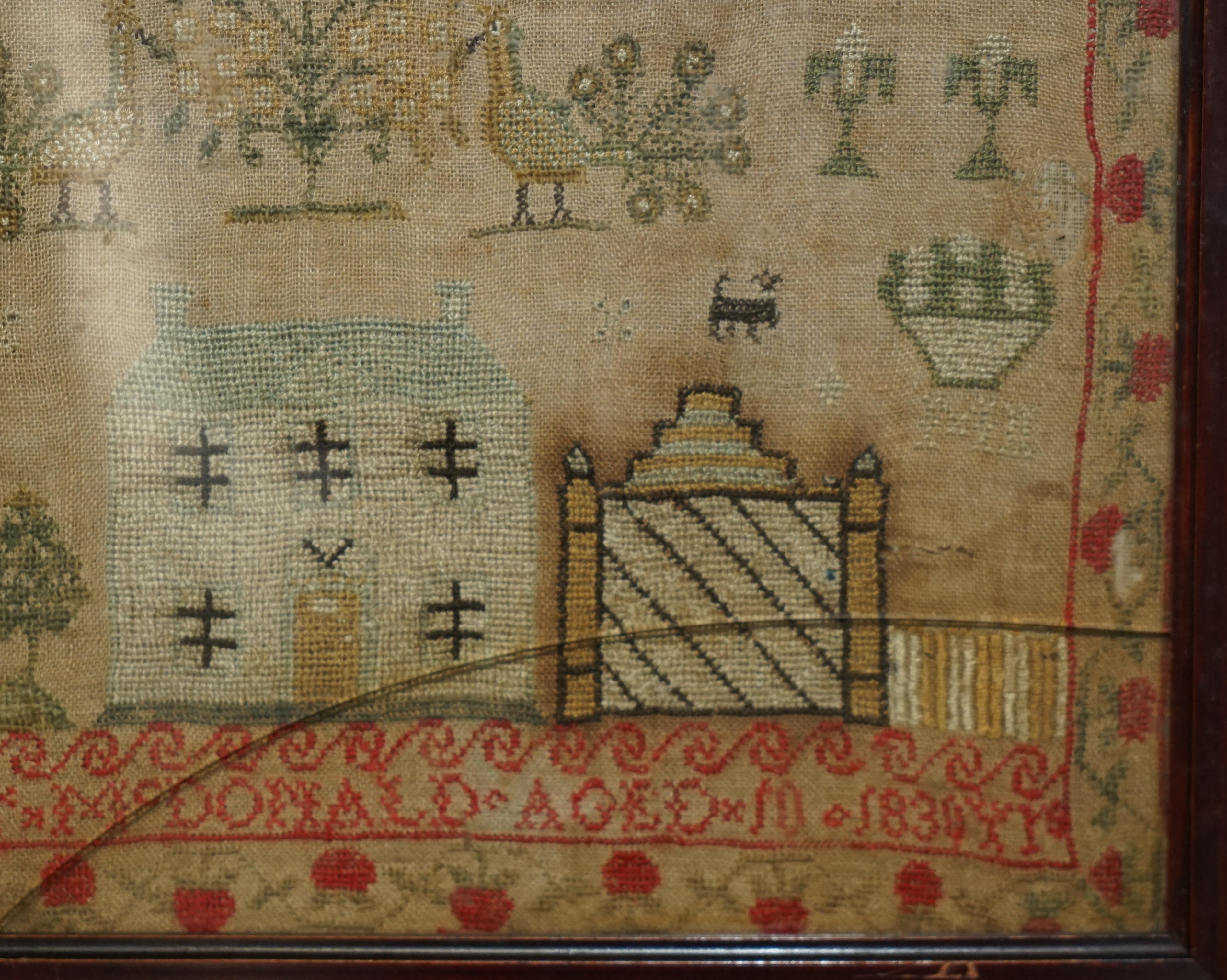 Antiguo 1830 Margret McDonald de Escocia Edad 10 Guillermo IV Muestrario de aguja 2