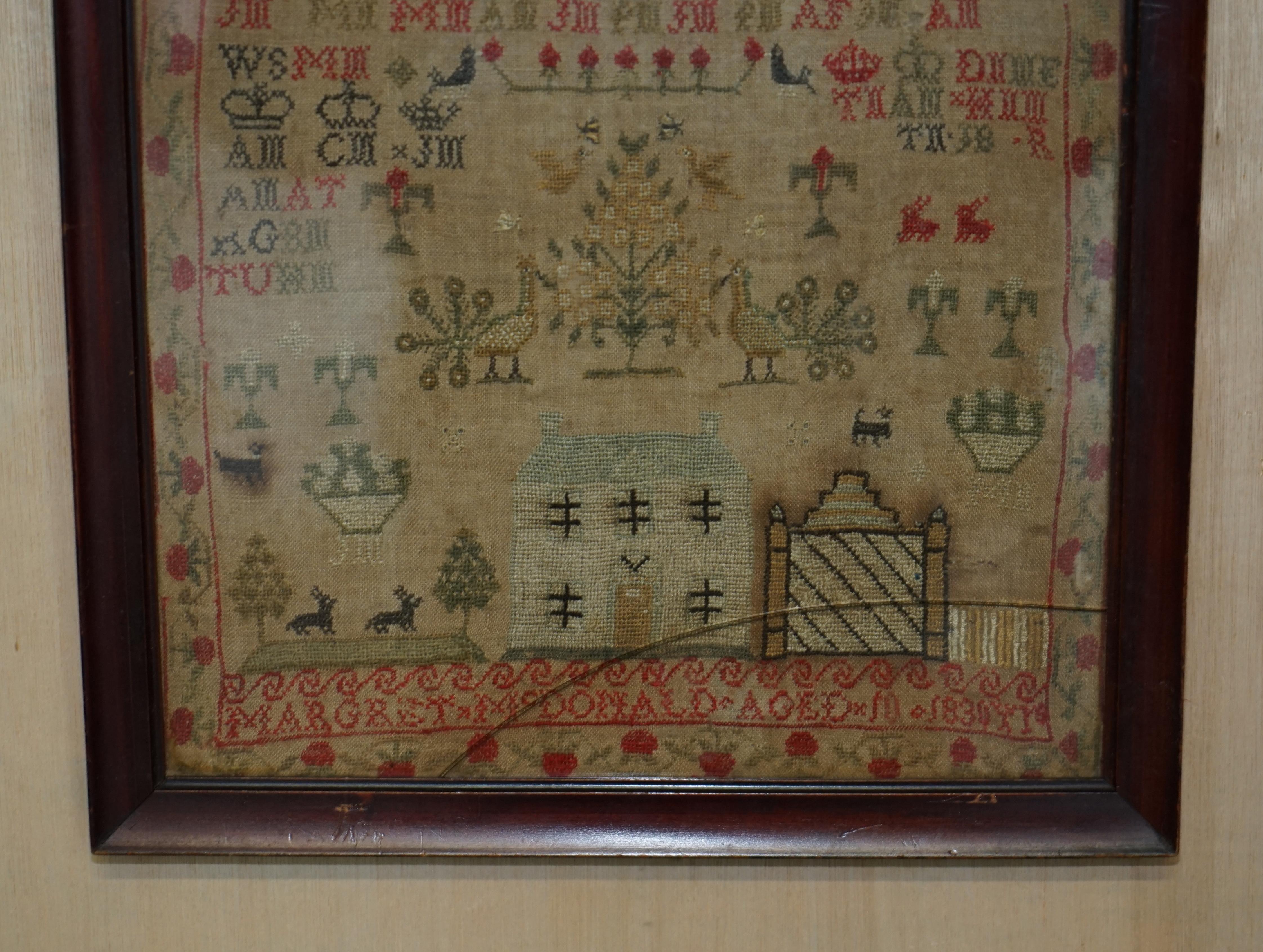 Antiguo 1830 Margret McDonald de Escocia Edad 10 Guillermo IV Muestrario de aguja Victoriano