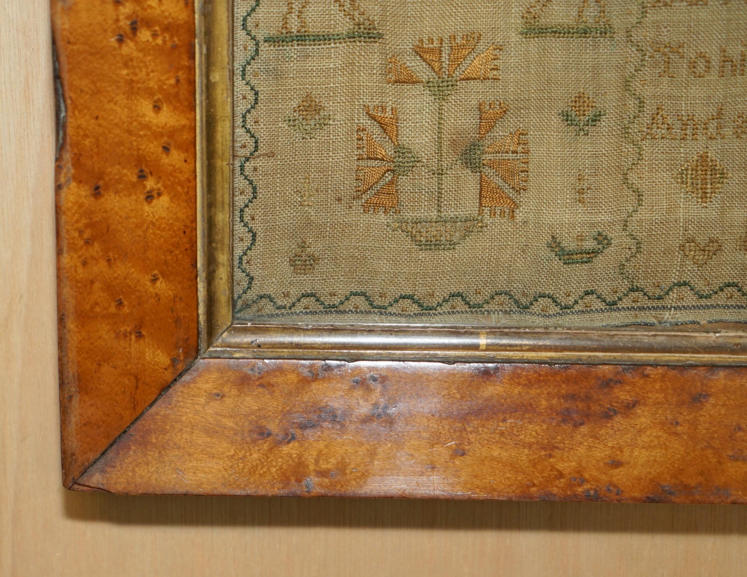 ANTIQUE 1837 MARGARET CAIRNS KiNG WILLIAM IV NEEDLE WORK TAPESTRY SAMPLER For Sale 3