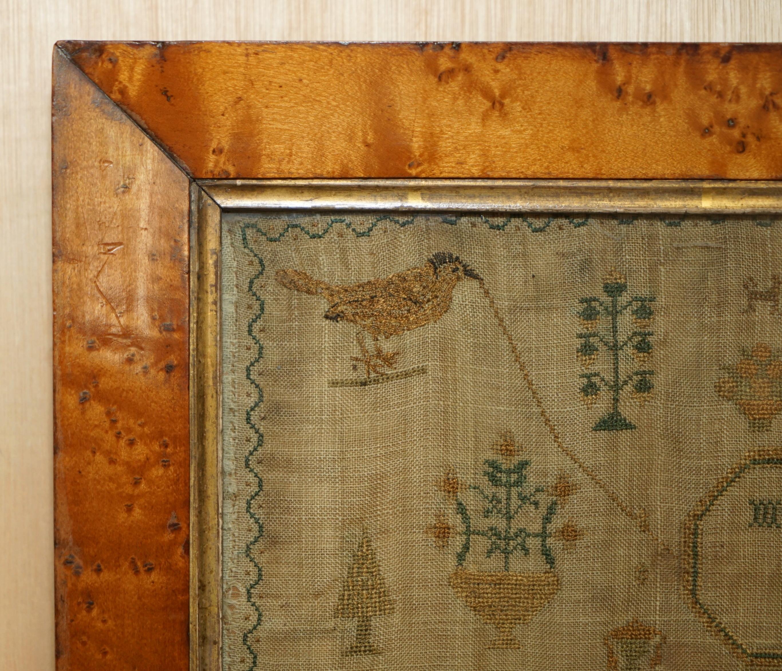 ANTIQUE 1837 MARGARET CAIRNS KiNG WILLIAM IV NEEDLE WORK TAPESTRY SAMPLER For Sale 4