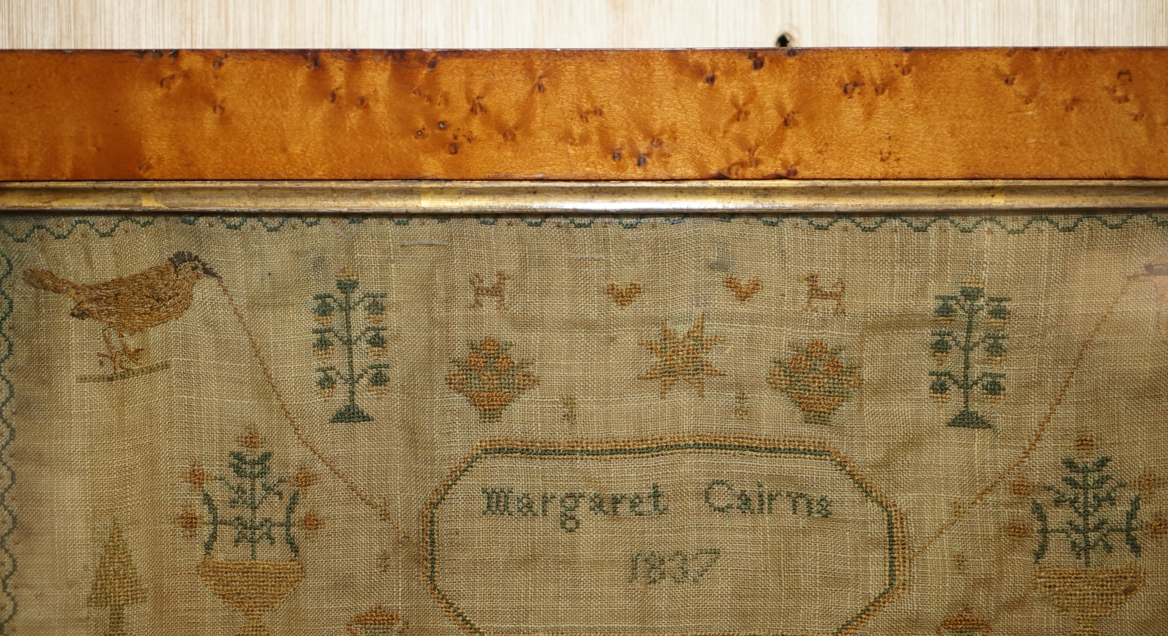 ANTIQUE 1837 MARGARET CAIRNS KiNG WILLIAM IV NEEDLE WORK TAPESTRY SAMPLER For Sale 5