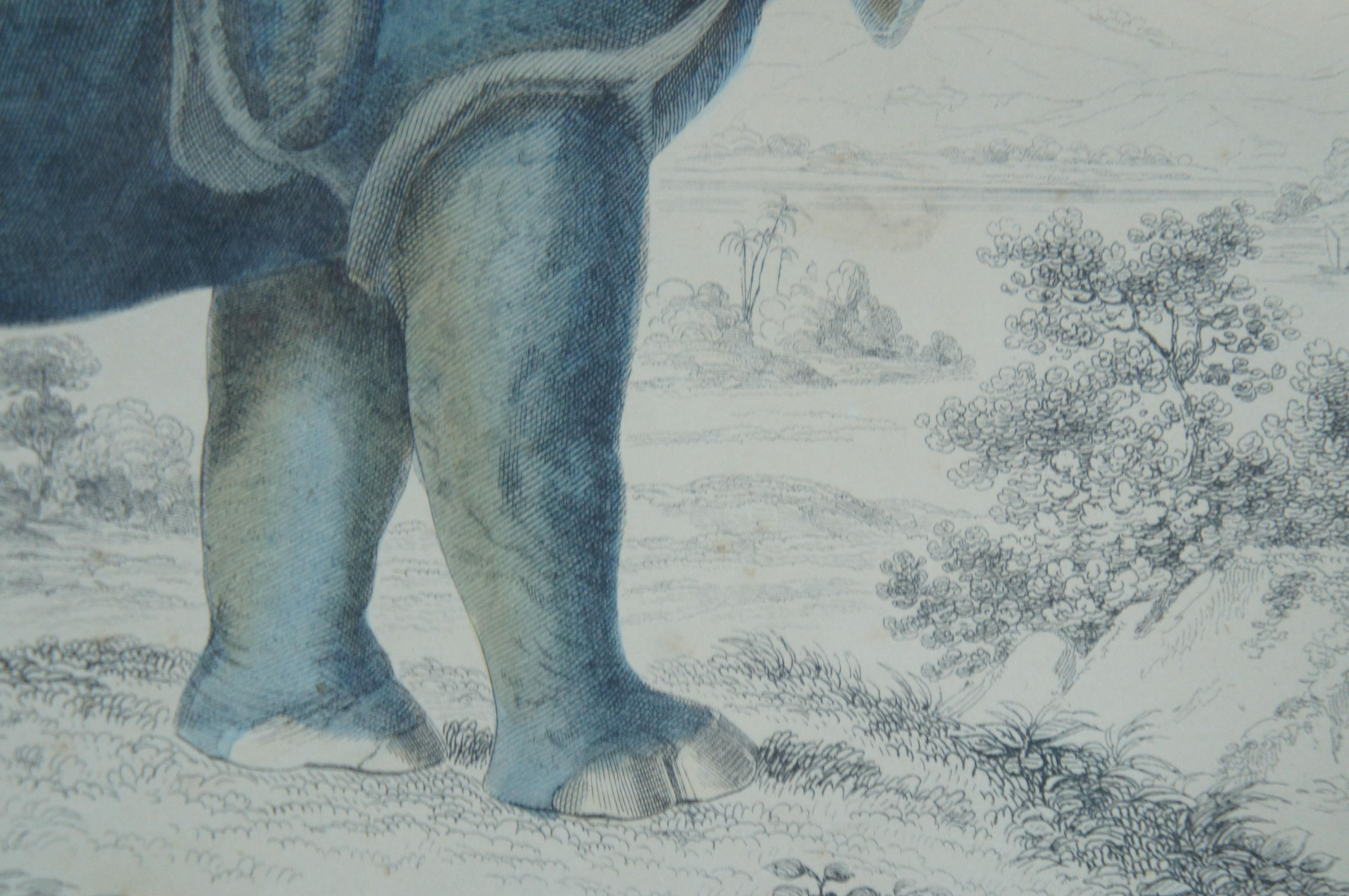 Antique 1842 English Fullarton African Rhino Rhinoceros Engraving 28