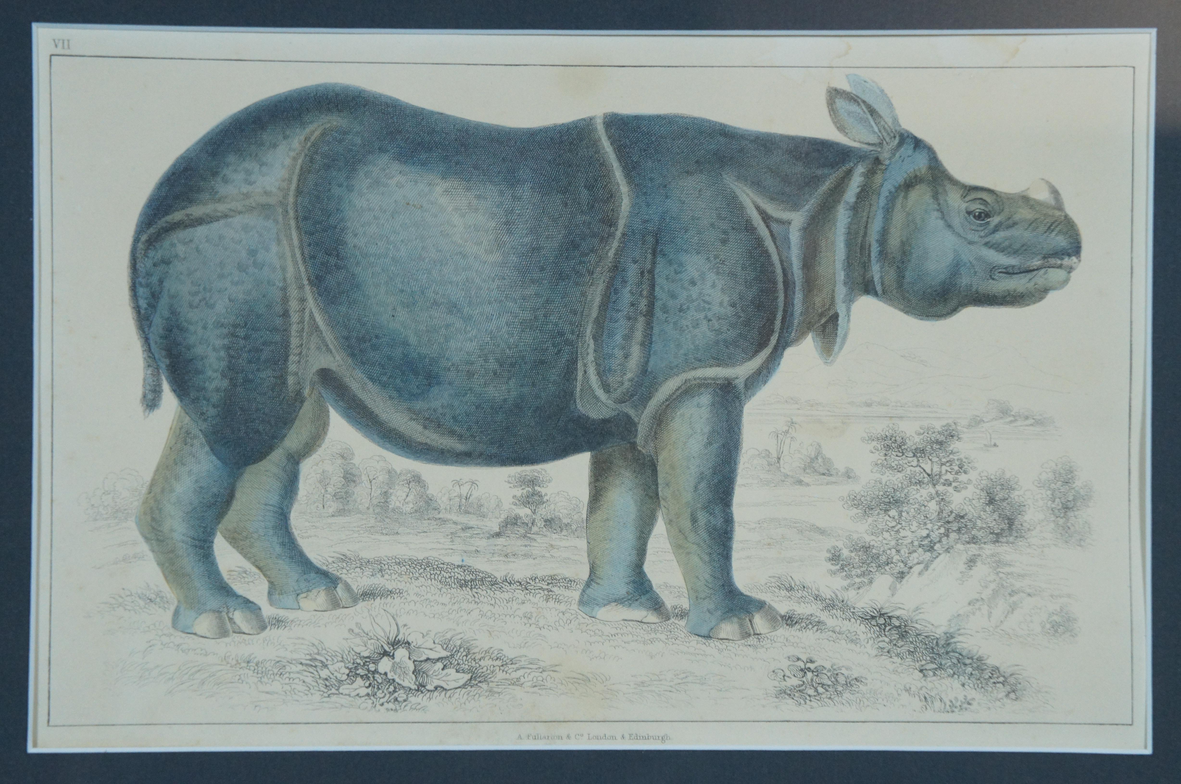 Mid-19th Century Antique 1842 English Fullarton African Rhino Rhinoceros Engraving 28