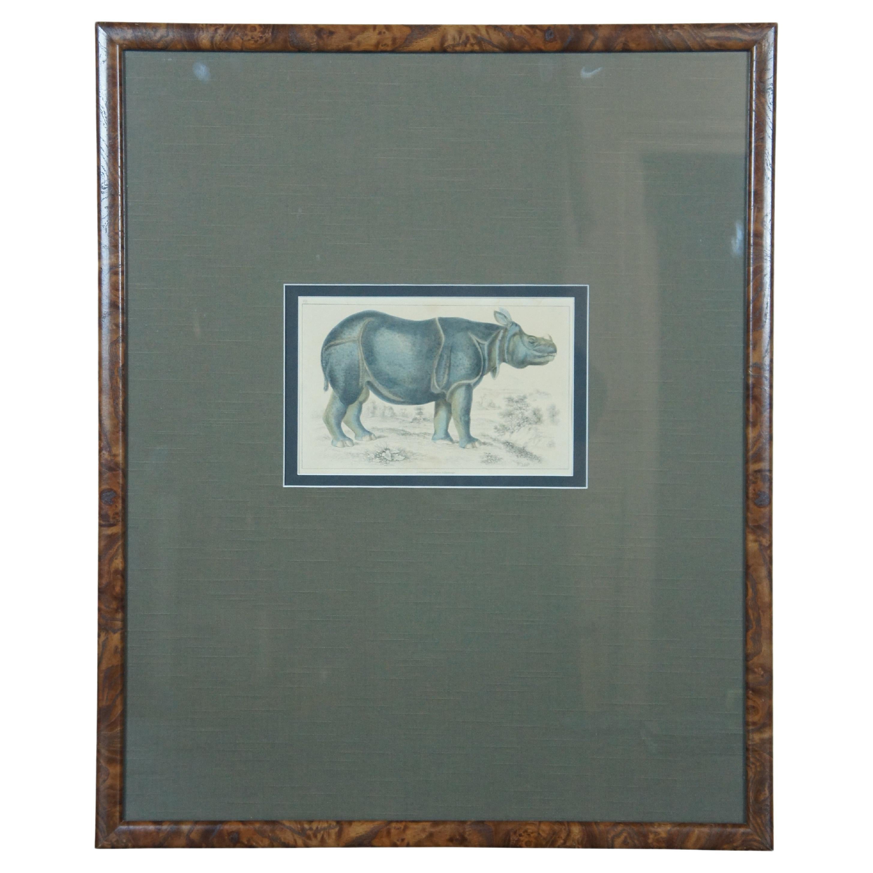 Antique 1842 English Fullarton African Rhino Rhinoceros Engraving 28" For Sale