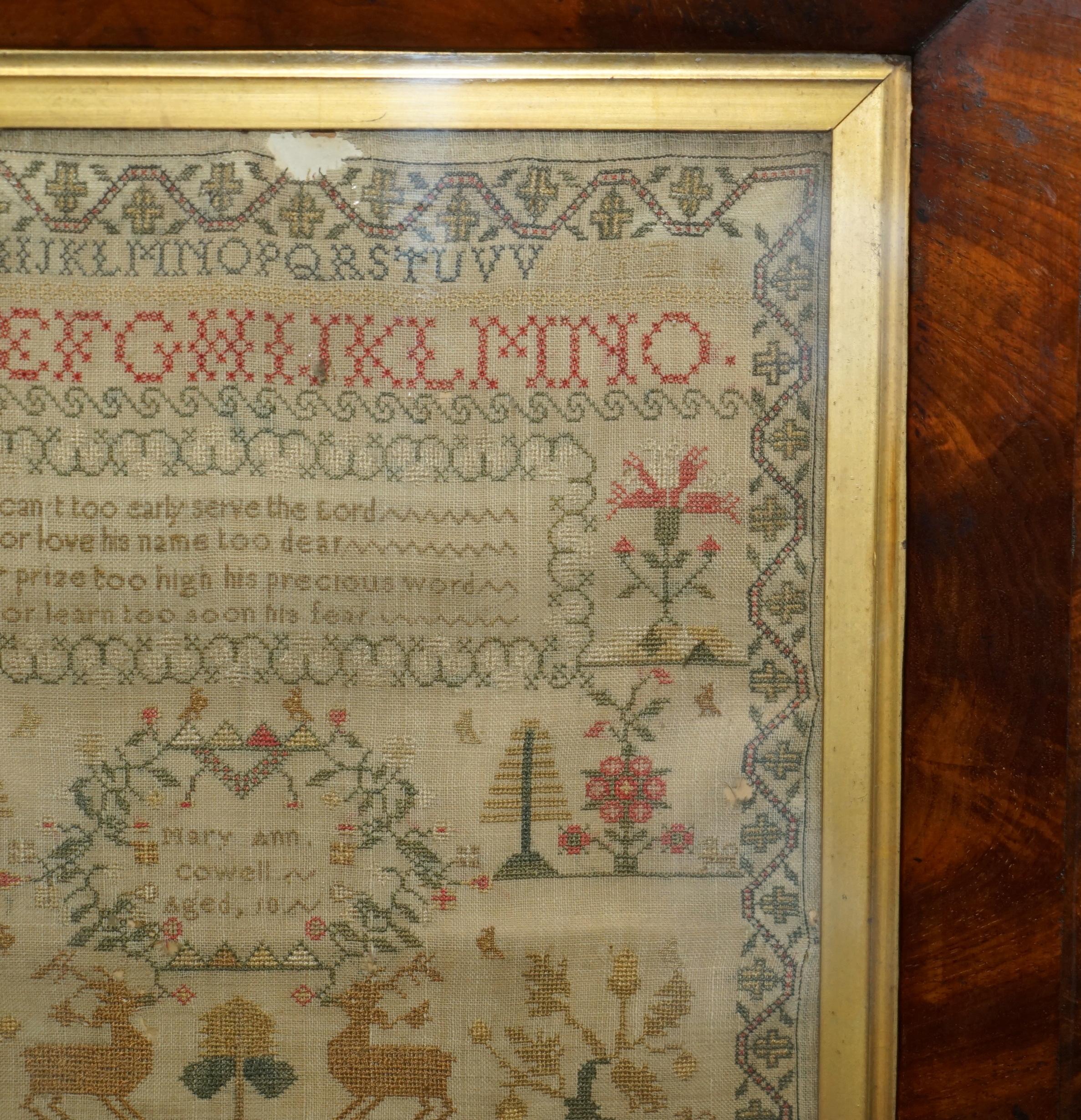 English ANTIQUE 1848 ORIGINAL MiD VICTORIAN NEEDLEWORK TAPESTRY SAMPLER HARDWOOD FRAME For Sale