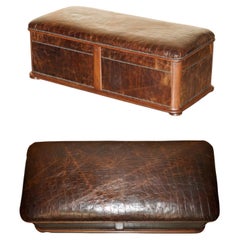 Antique 1860 HARDWOOD ALLIGATOR CROCODILE PATINA BROWN LEATHER OTTOMAN TRUNK