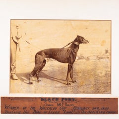 Antique 1899 Waterloo Cup Greyhound Racing Photograph–"Black Fury"–Framed