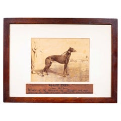 Antique 1899 Waterloo Cup Greyhound Racing Photograph–"Black Fury"–Framed