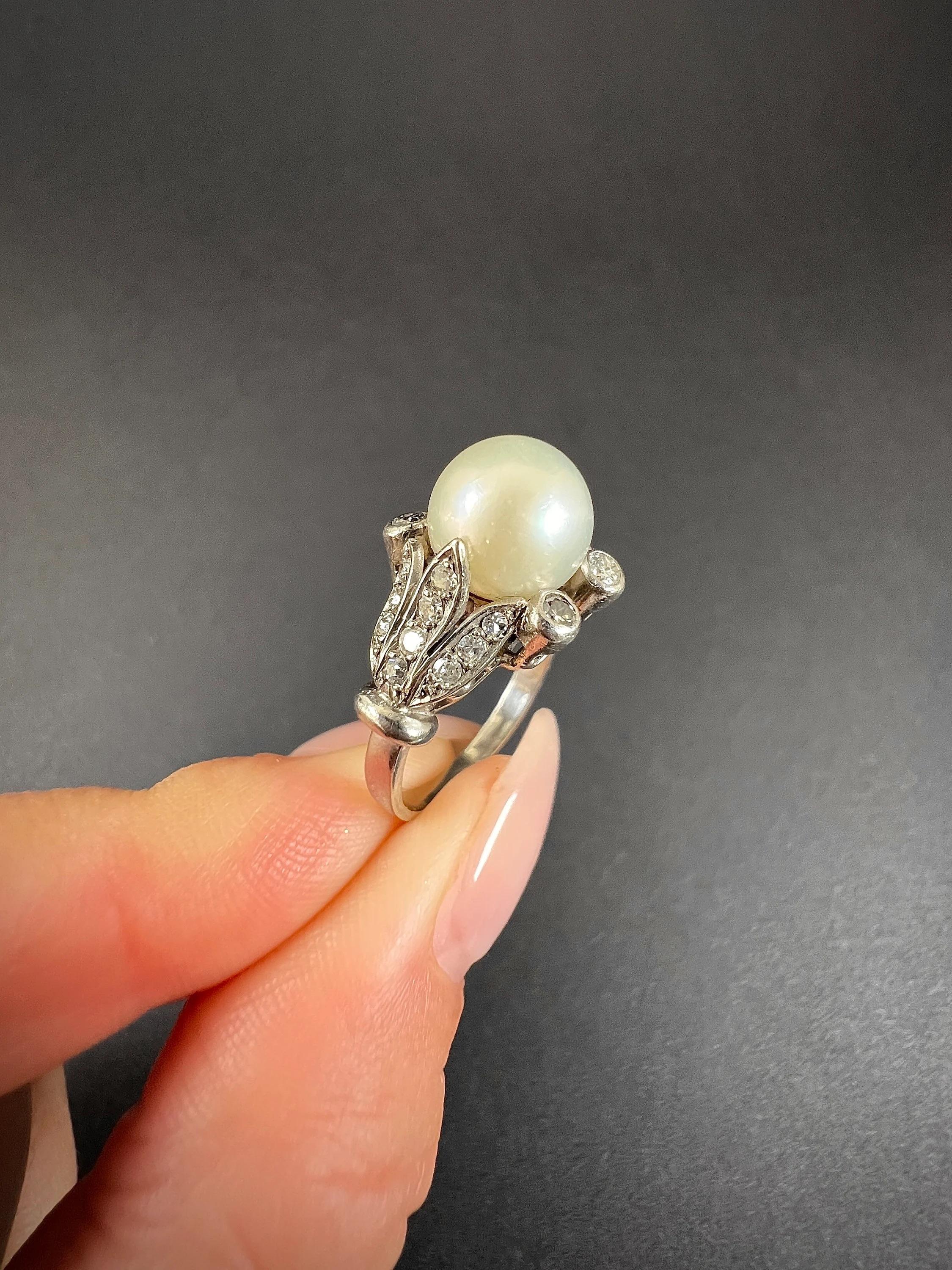 Antique Pearl & Diamond Ring

18ct White Gold Tested 

Circa 1910

This stunning 18ct white gold Edwardian-era ring features a captivating cultured pearl, elegantly framed by ornate old-cut diamond-set shoulders. The timeless design and exquisite