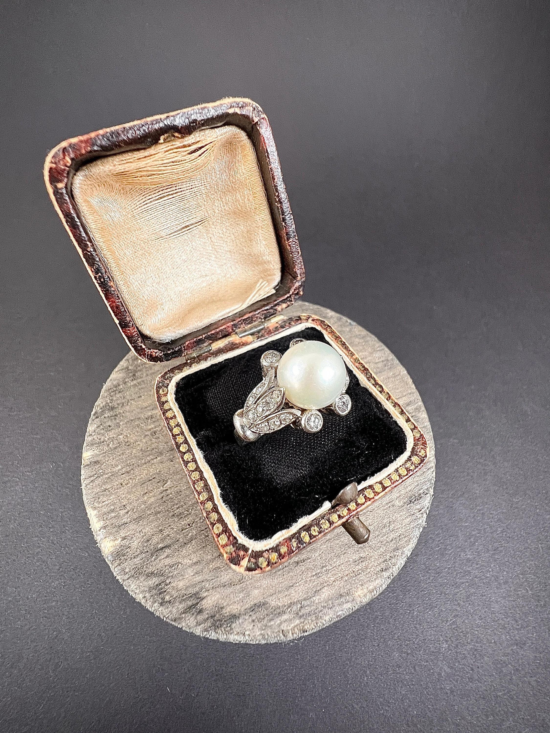 Antique 18ct White Gold Edwardian Cultured Pearl & Old European Cut Diamond Ring For Sale 1