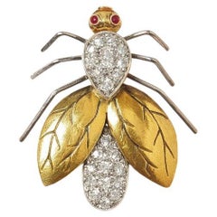 Brooches