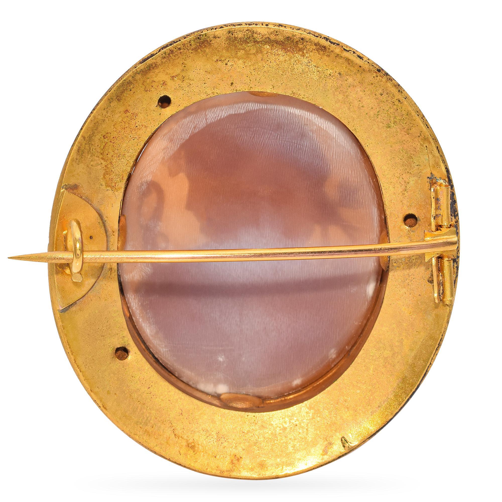 Antique 18K Yellow Gold Eros Shell Cameo Brooch For Sale 1