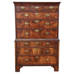 Antique 18th Century Burr Figured Walnut Tallboy Chest on Chest of Drawers