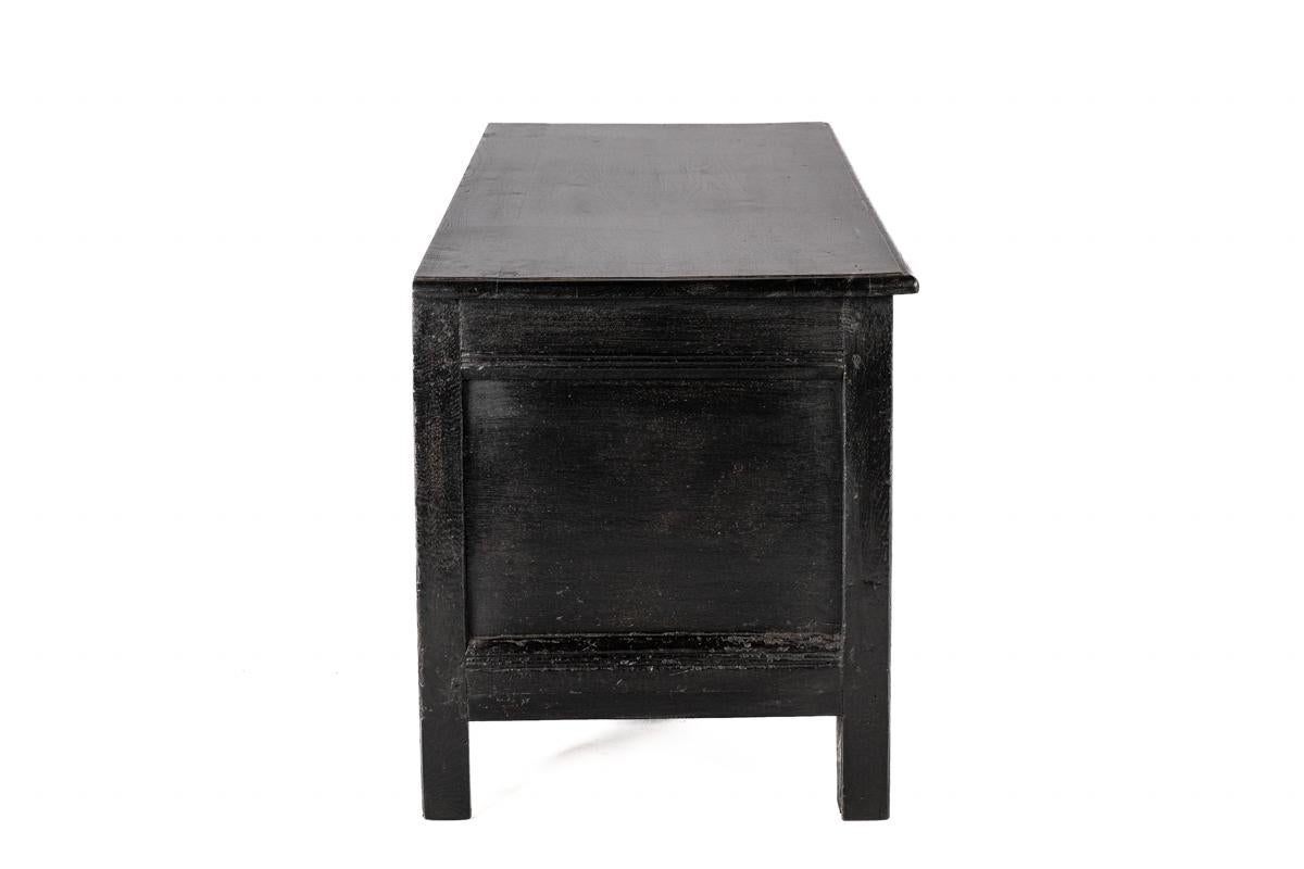 Antique 18th century converted blacked oak and carved English chest or trunk In Good Condition In Casteren, NL