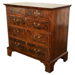 Antique 18th Century English George II Burl Elm Chest of Drawers Dresser 1750