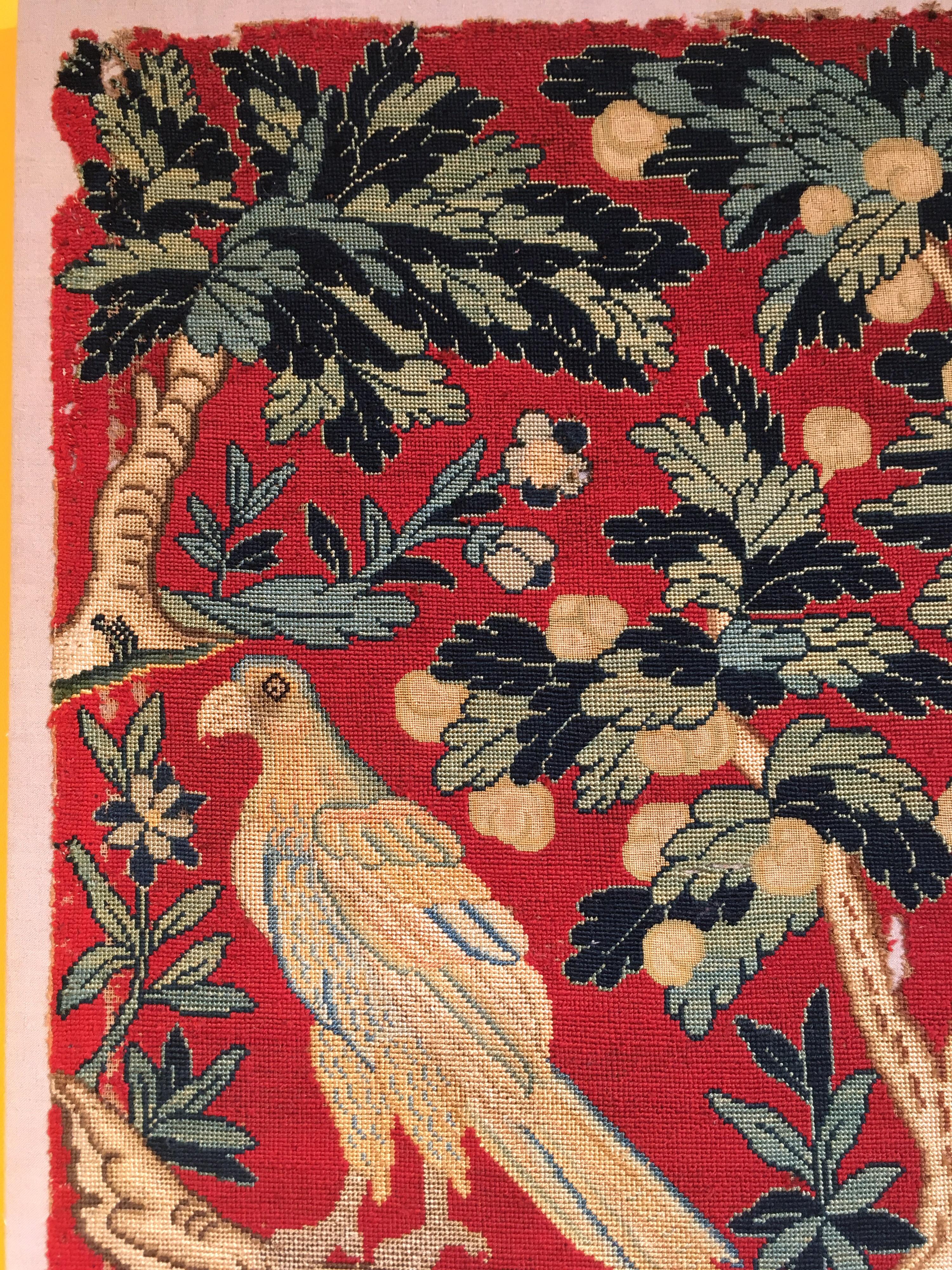 Antikes französisches Wandteppichbild des 18. Jahrhunderts mit Pfau und Papagei auf Rot 4