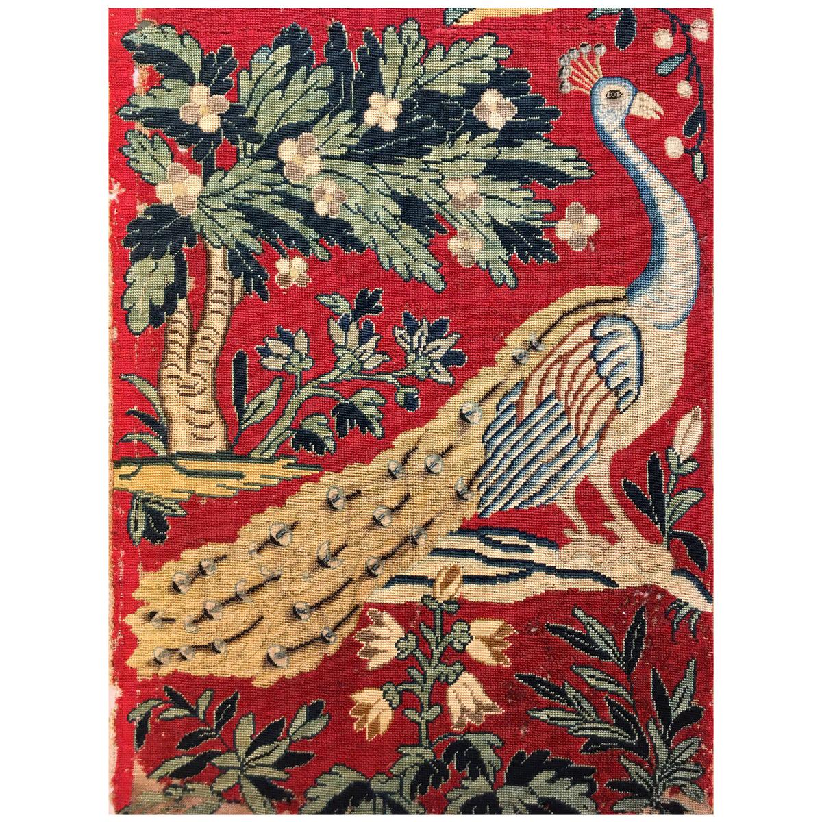 Antique 18th Century French Tapestry Picture with Peacock and Parrot on Red