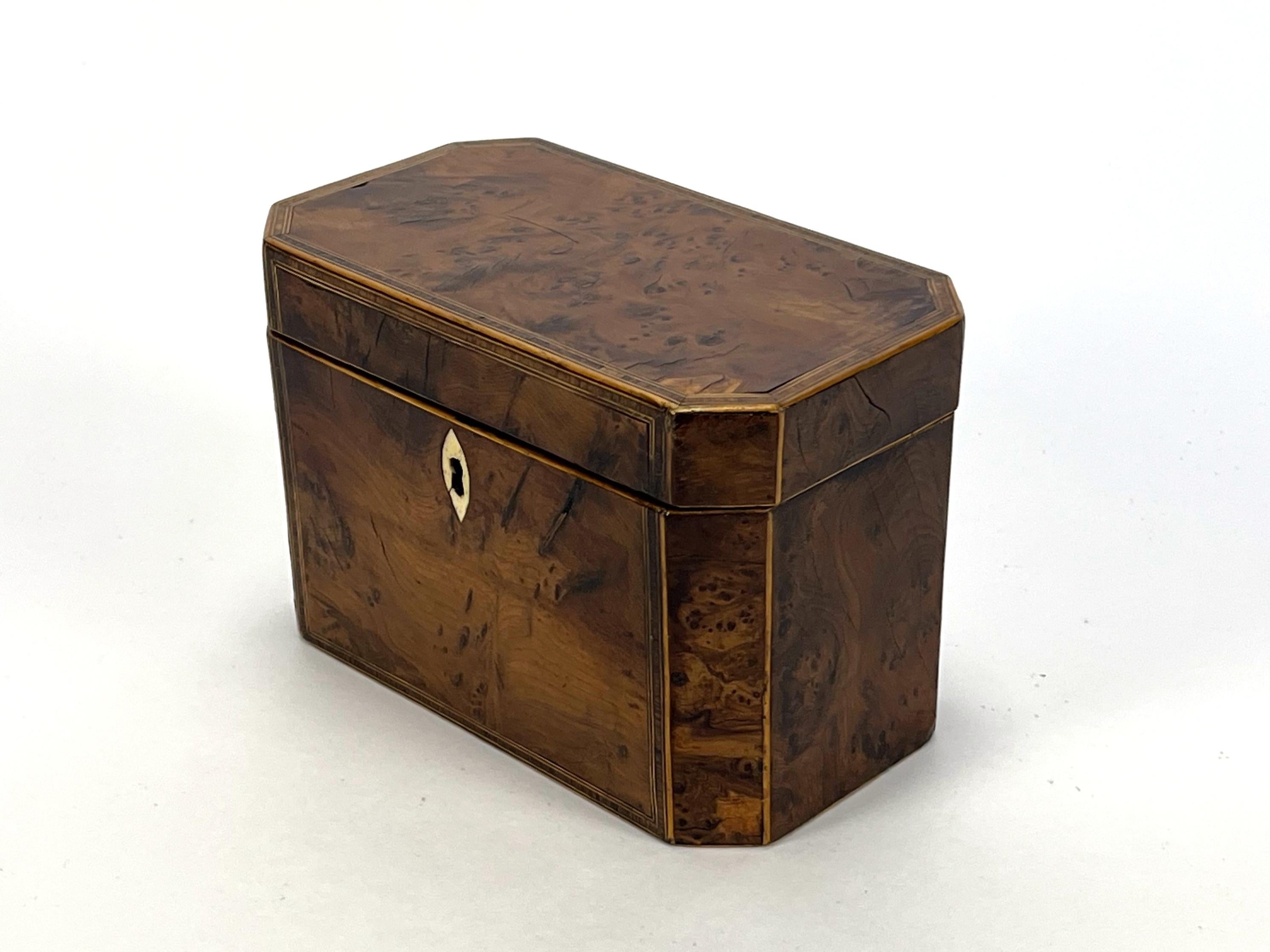 Ancienne boîte à thé en loupe d'if géorgienne du 18e siècle - Elegance, boîte en bois naturel en vente 3