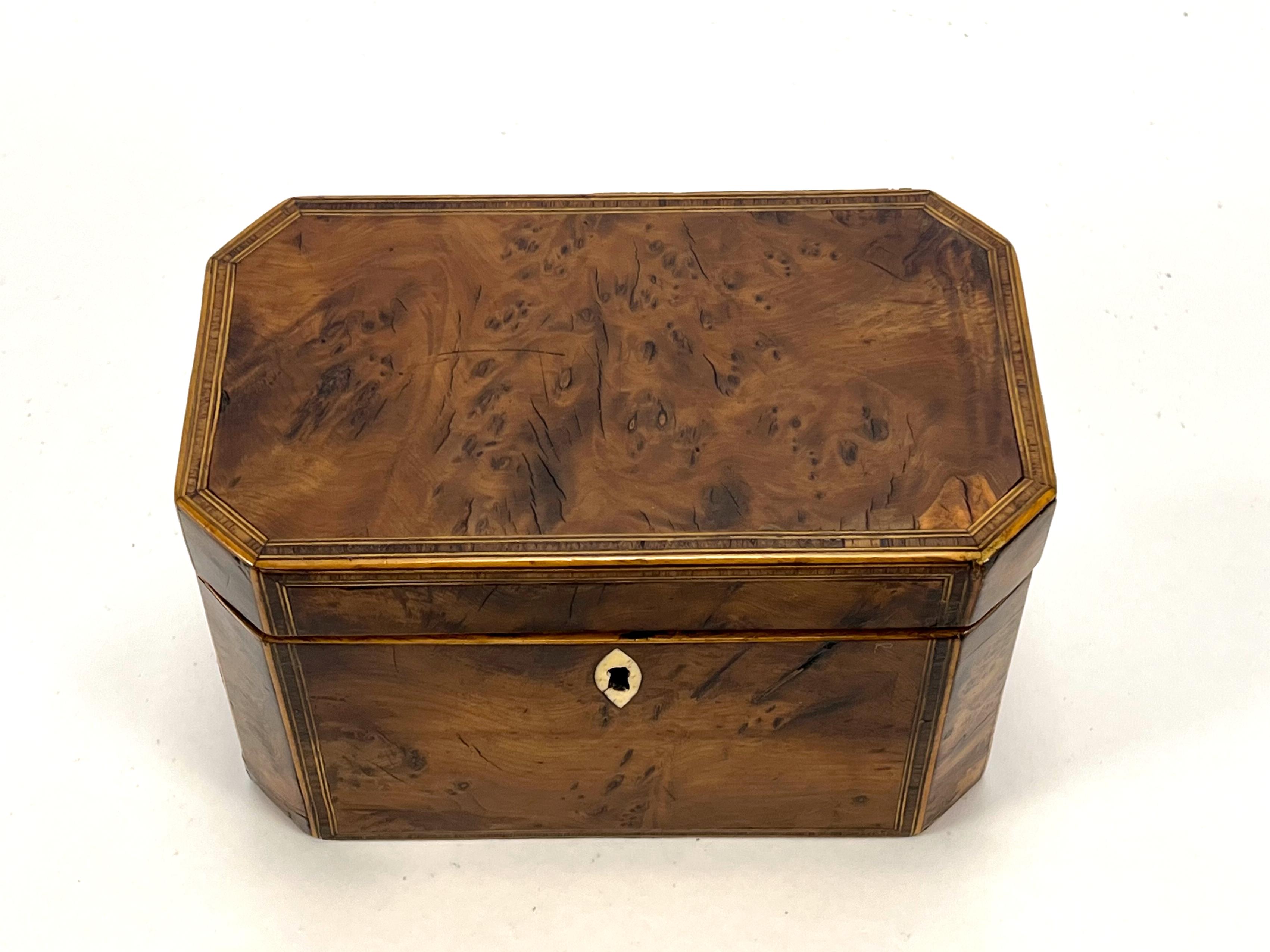 Ancienne boîte à thé en loupe d'if géorgienne du 18e siècle - Elegance, boîte en bois naturel en vente 4