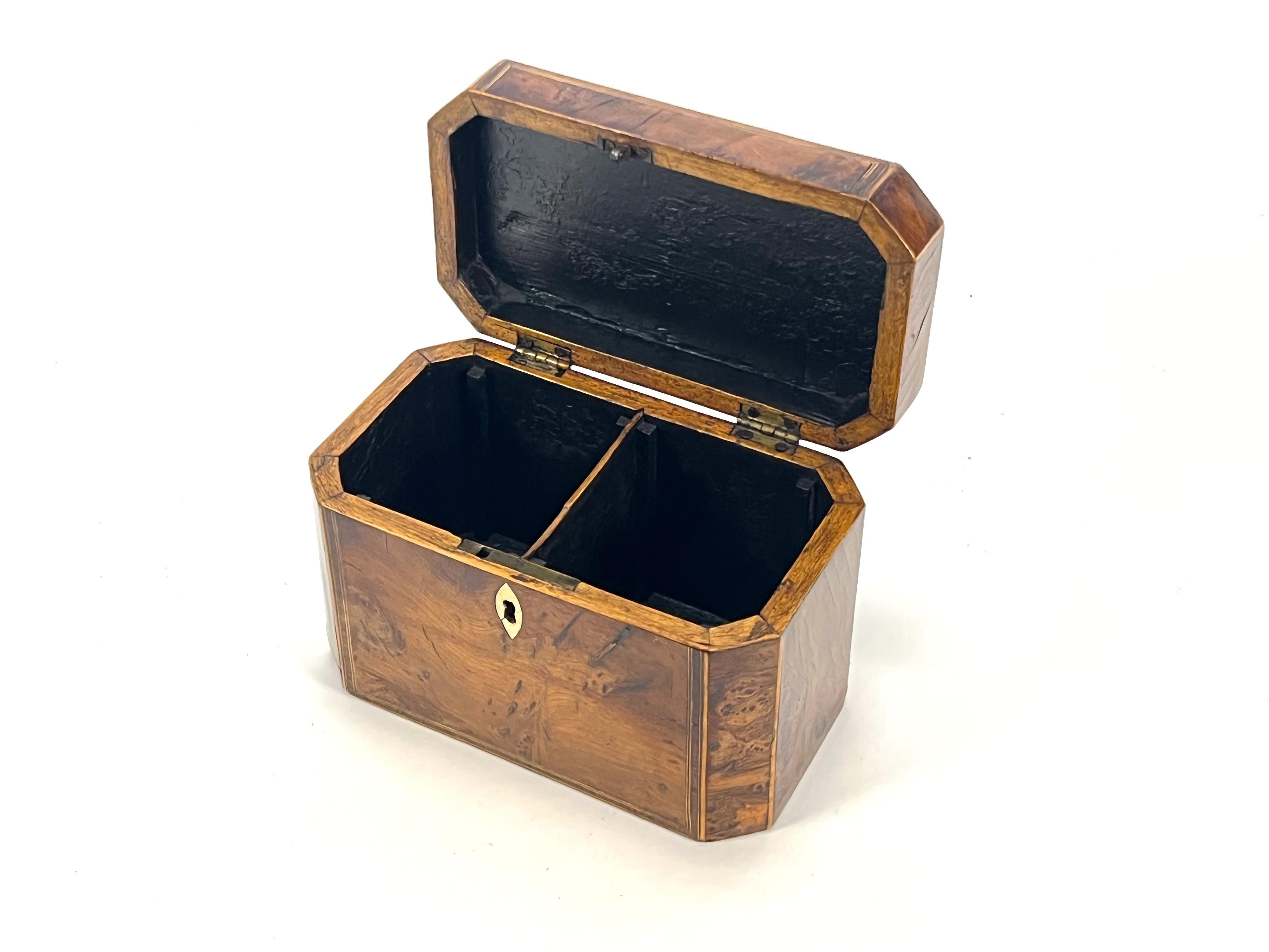 Ancienne boîte à thé en loupe d'if géorgienne du 18e siècle - Elegance, boîte en bois naturel en vente 5