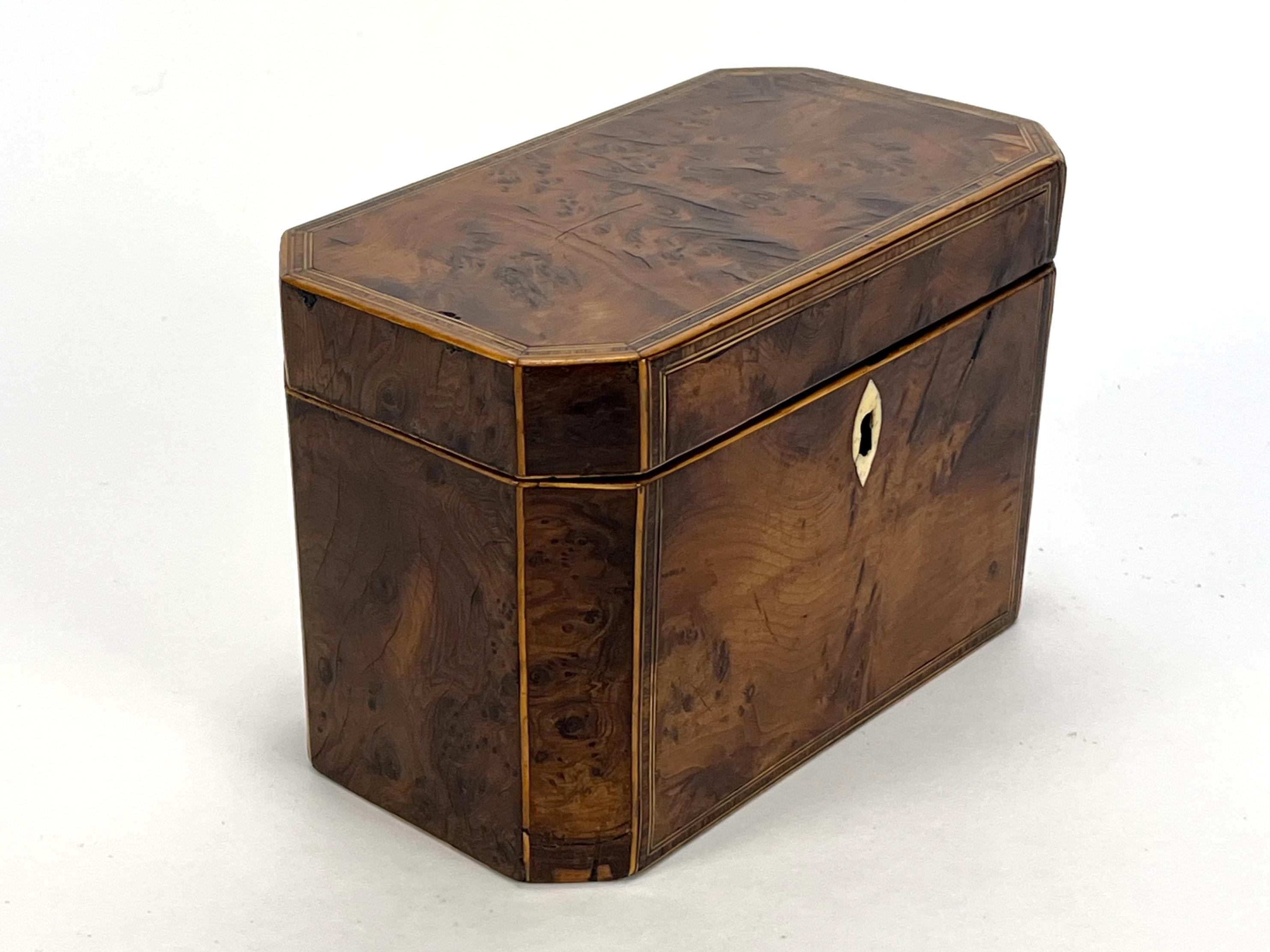 Anglais Ancienne boîte à thé en loupe d'if géorgienne du 18e siècle - Elegance, boîte en bois naturel en vente