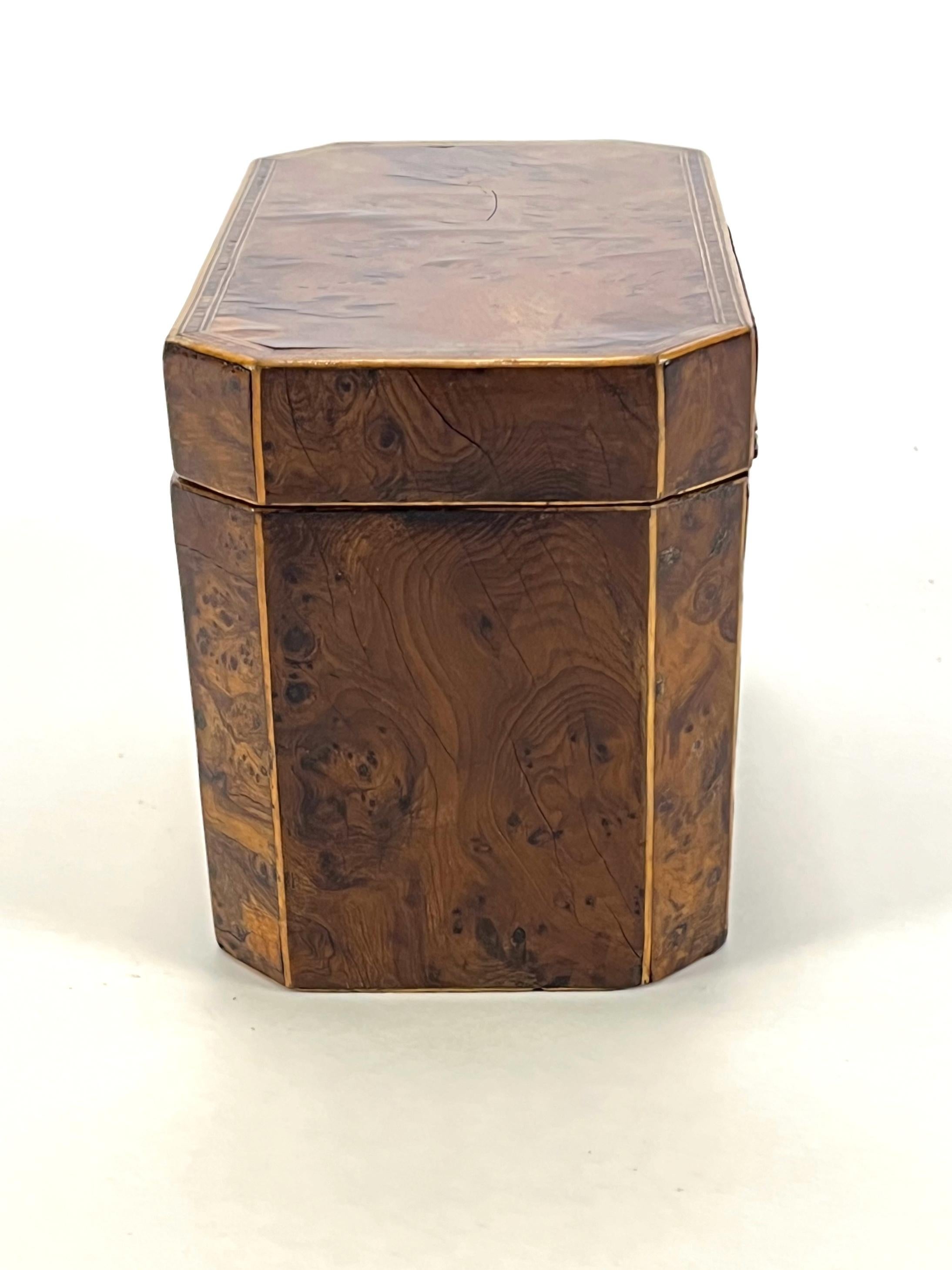 Ancienne boîte à thé en loupe d'if géorgienne du 18e siècle - Elegance, boîte en bois naturel en vente 2