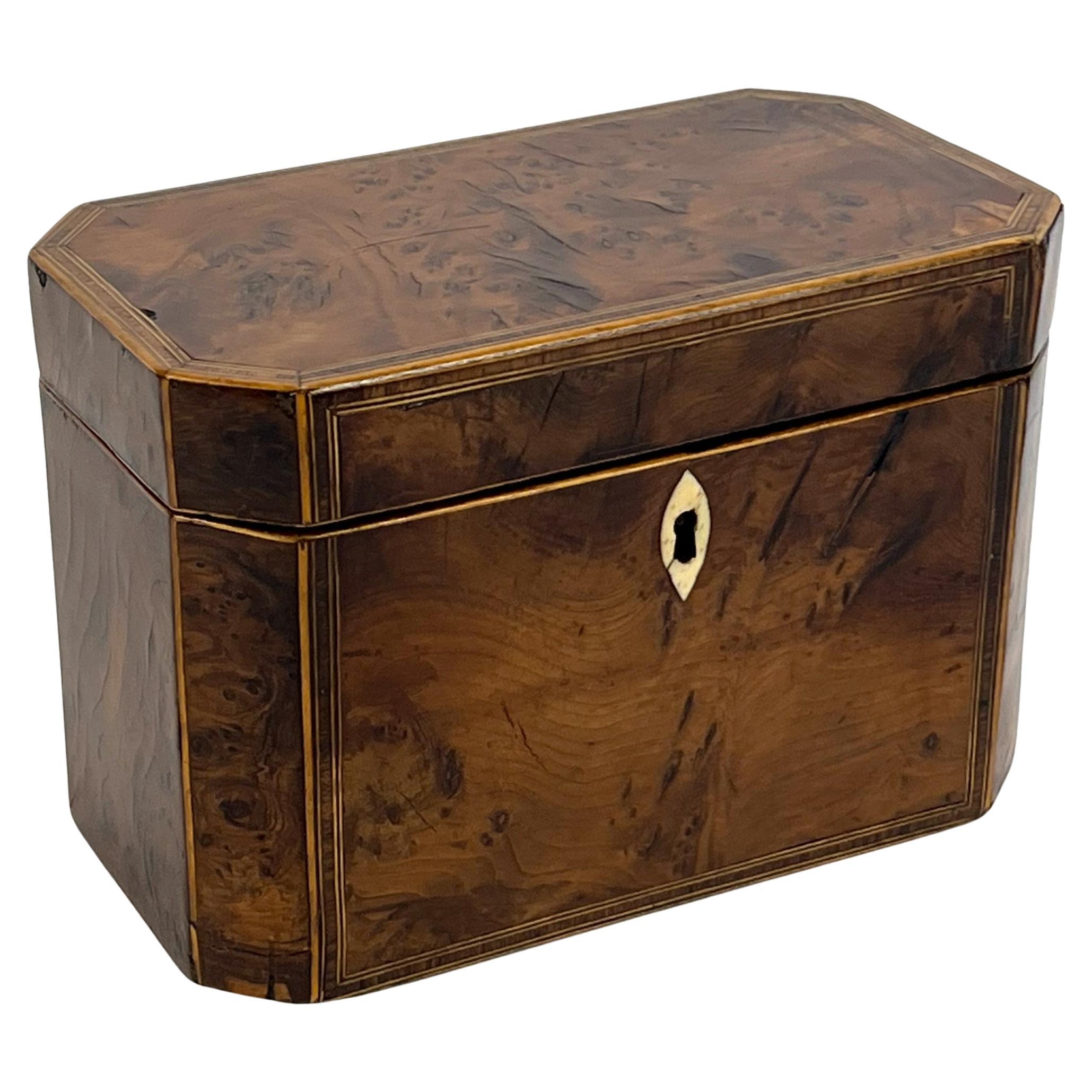 Antigua caja de té georgiana de tejo del siglo XVIII-Elegante caja de madera natural