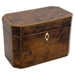 Antique 18th-Century Georgian Burr Yew Tea Caddy—Elegant, natural wooden box