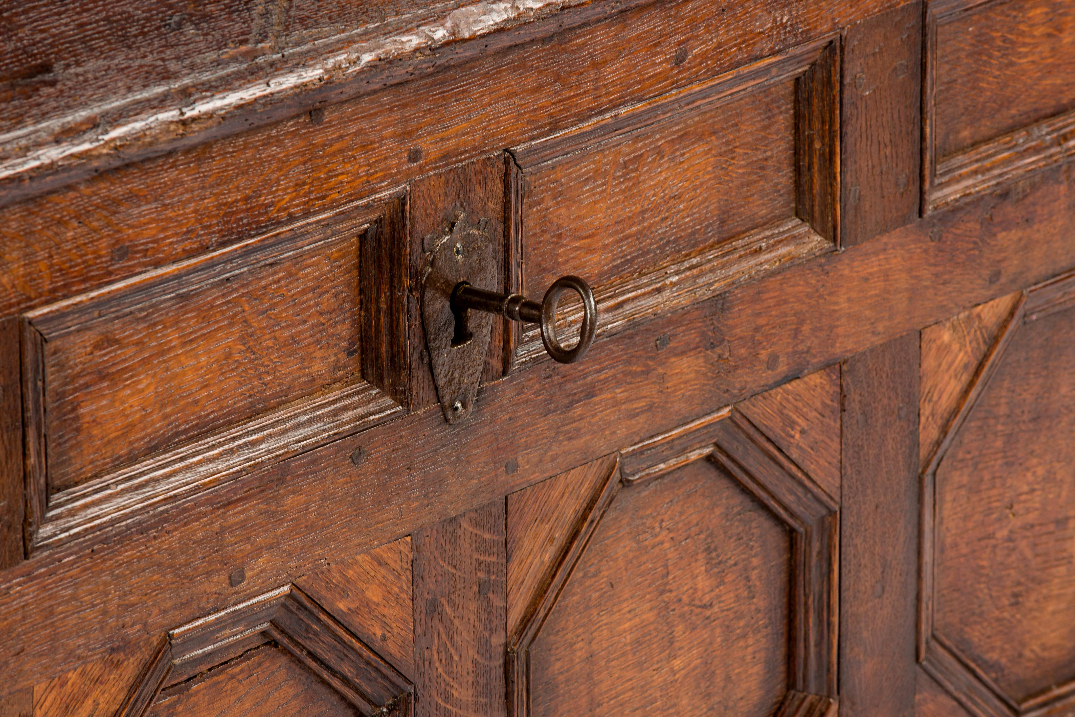 Antique 18th-Century German Paneled Solid Watered Oak Dowry Trunk of Chest 2