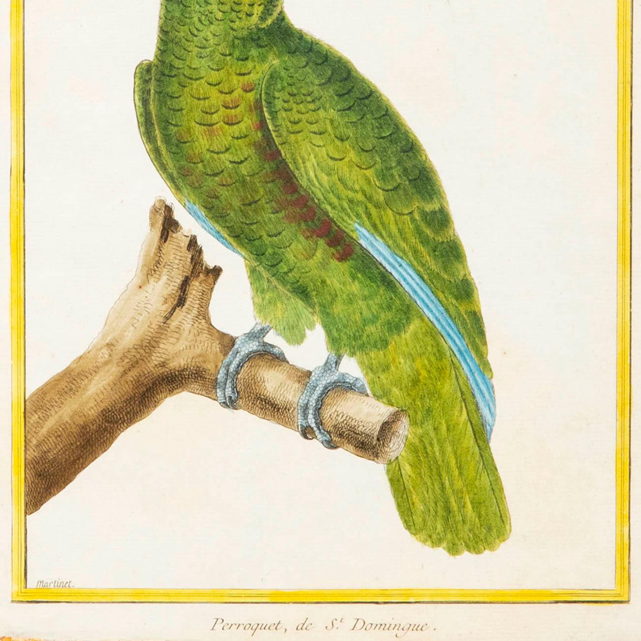 A very decorative engravings of a parrot, by François Nicolas Martinet, from Histoire Naturelle des Oiseaux, 1770–1786.
France, circa 1770–80.

Why we like it
Exquisitely engraved and hand-coloured in the 18th century, it evokes the fashion for