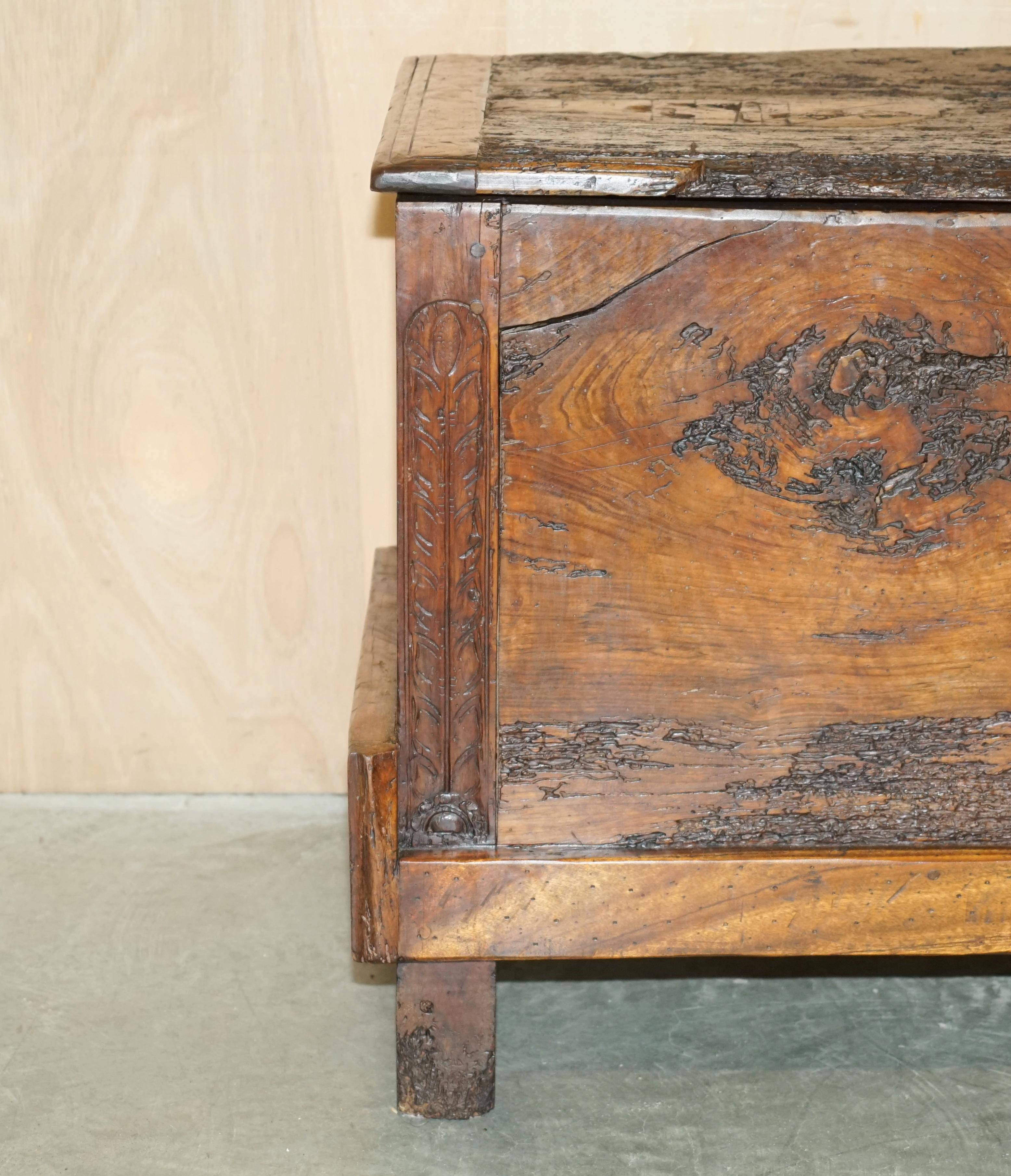 English ANTiQUE 18TH CENTURY SIX PLANK HEAVILY BURRED CHESTNUT WOOD TRUNK CHEST For Sale