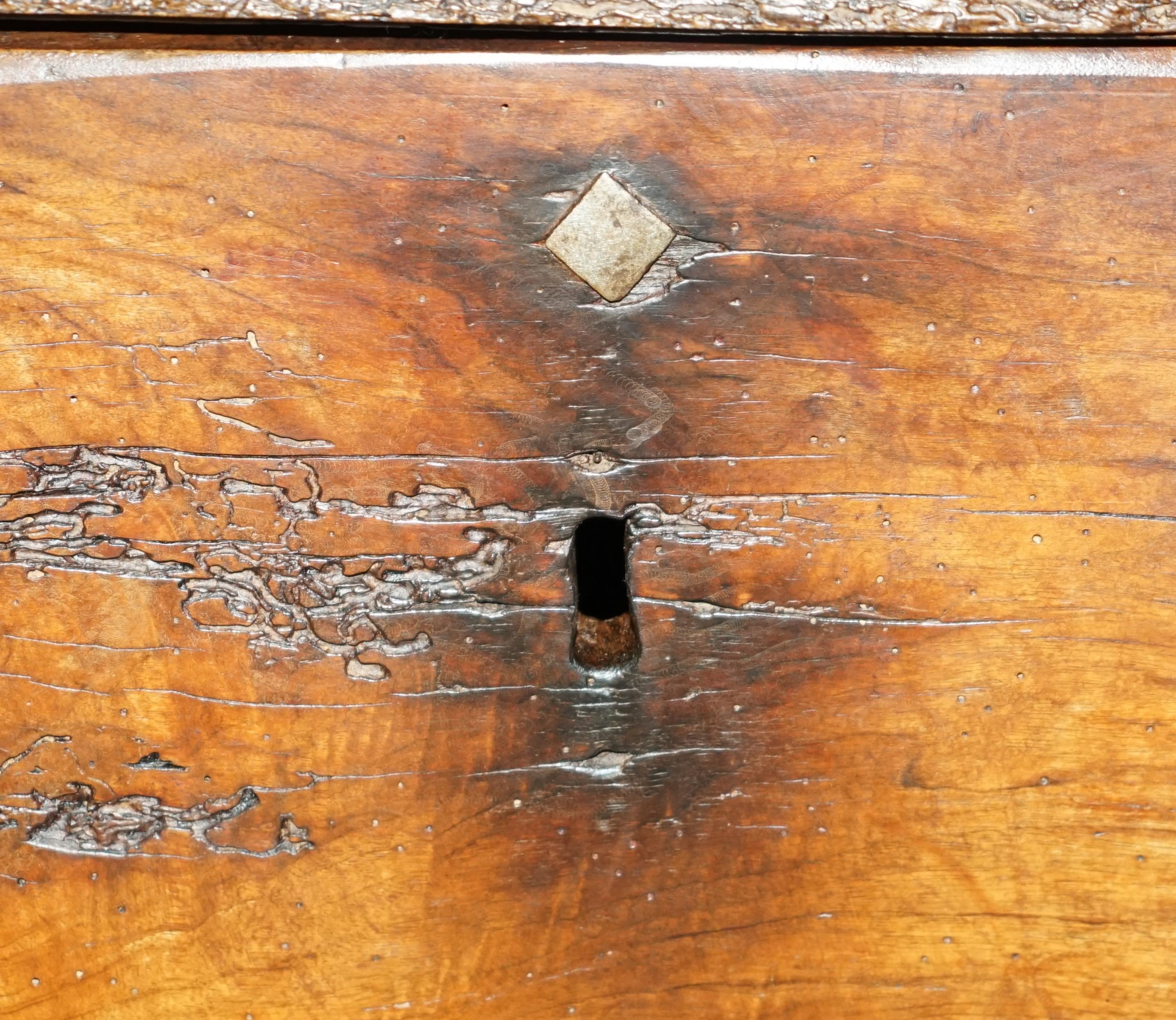 ANTiQUE 18TH CENTURY SIX PLANK HEAVILY BURRED CHESTNUT WOOD TRUNK CHEST For Sale 2