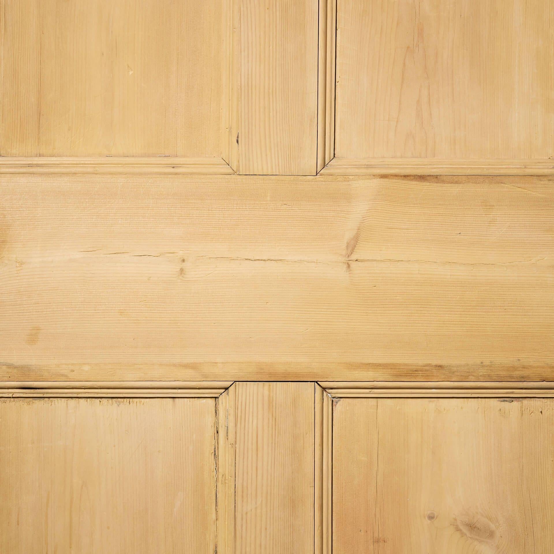 Georgian Antique 18th Century Stripped Pine Internal Door For Sale